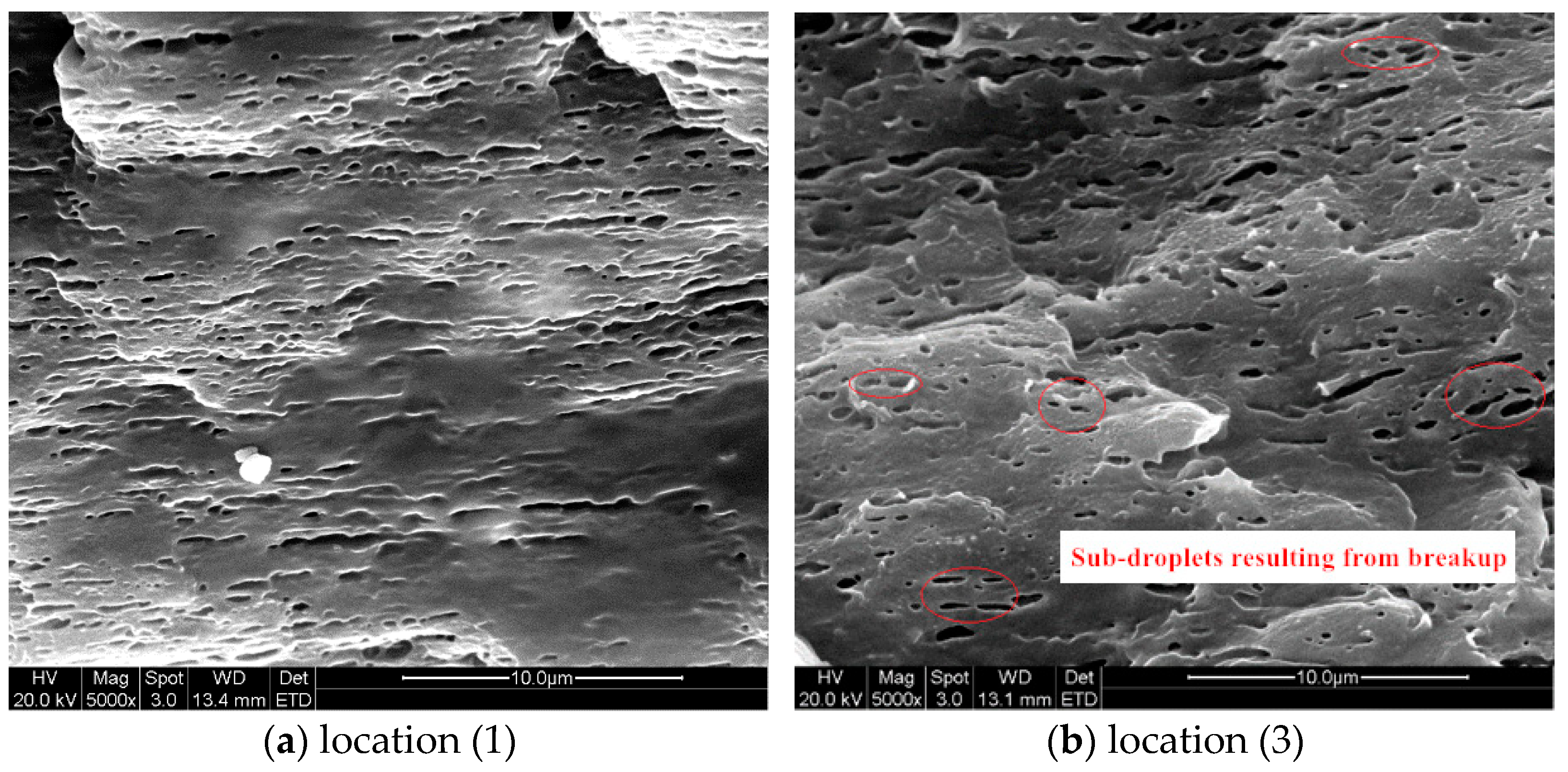 Polymers 13 00133 g017 Polymers 13 00133 g017