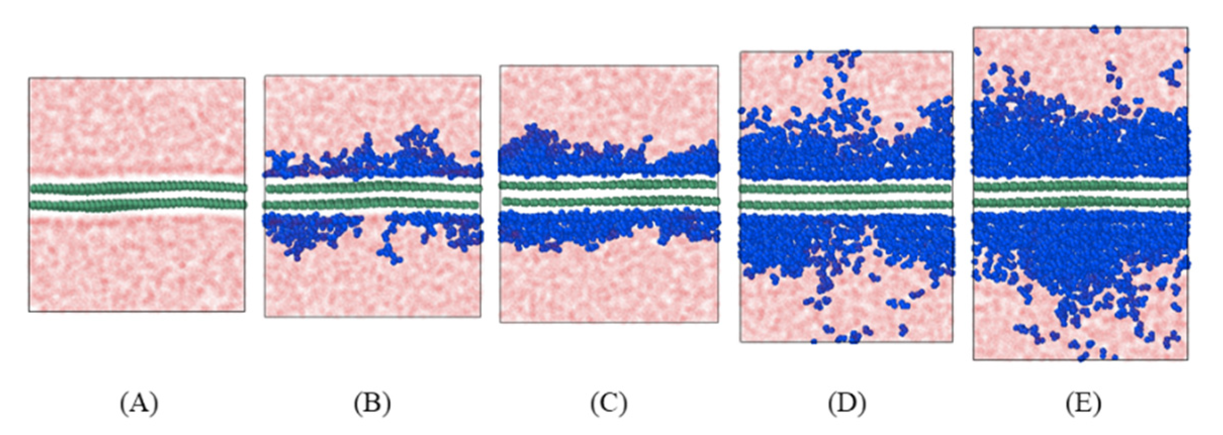 Polymers 13 00140 g004 Polymers 13 00140 g004