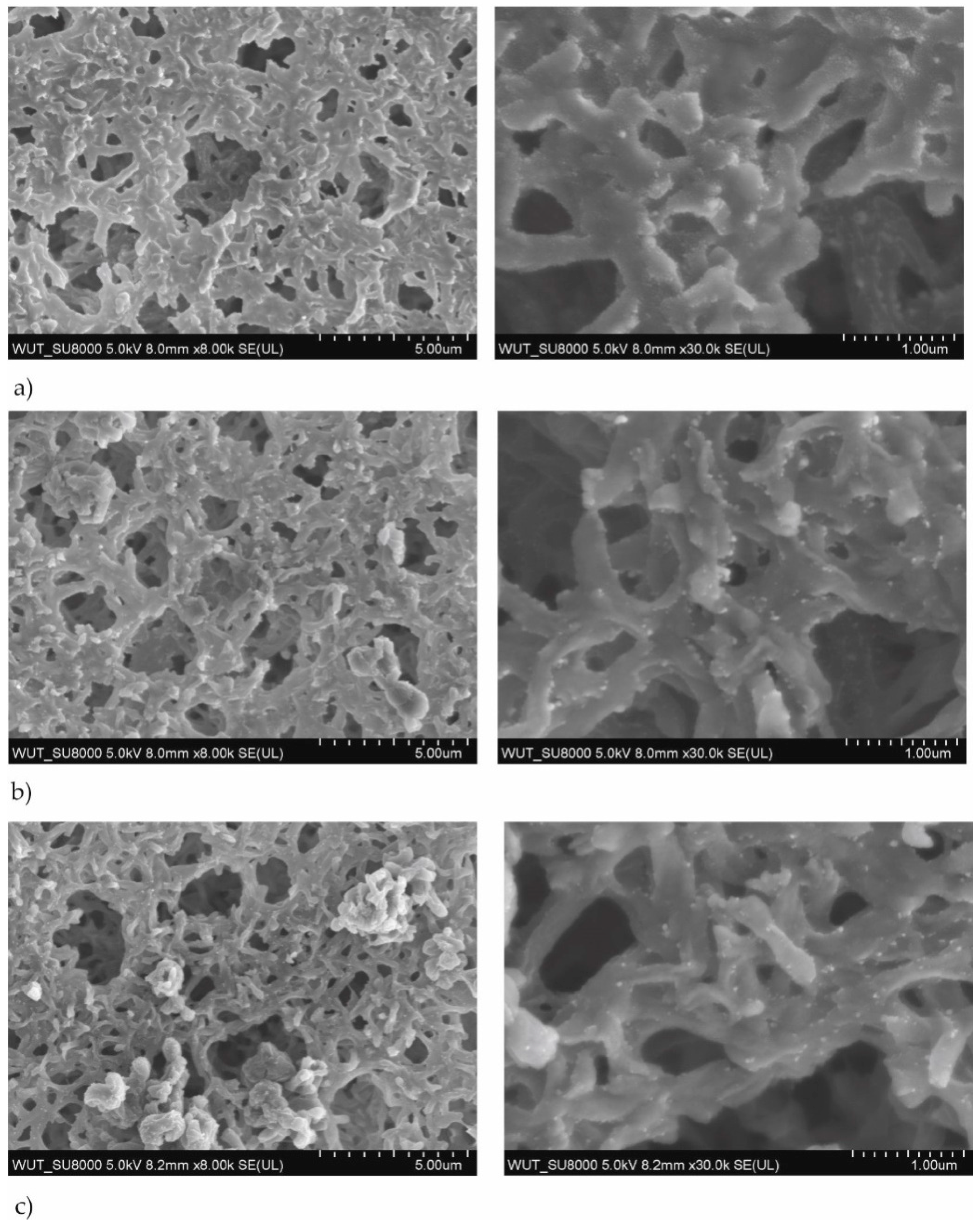 Polymers 13 00141 g001 Polymers 13 00141 g001