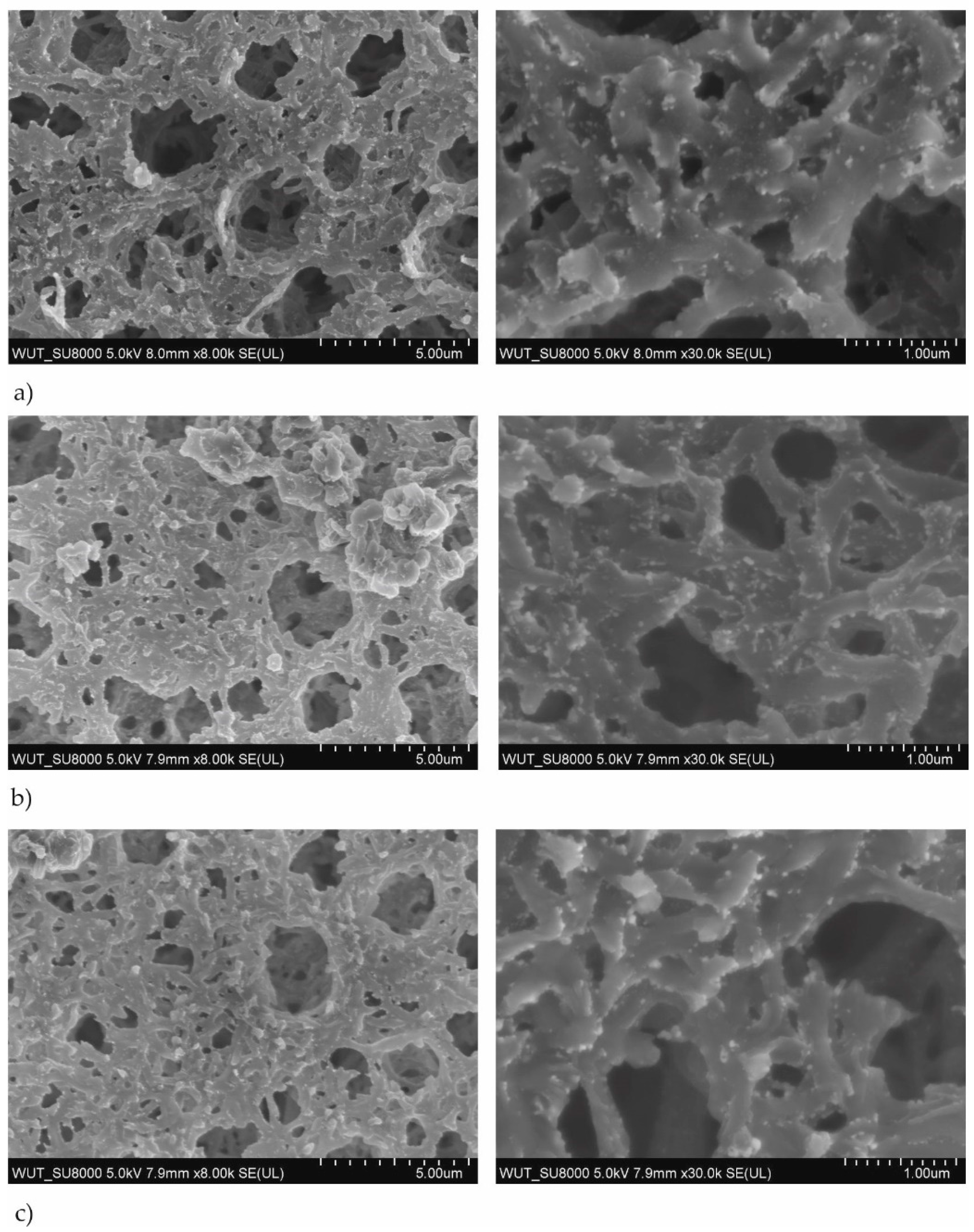 Polymers 13 00141 g002 Polymers 13 00141 g002