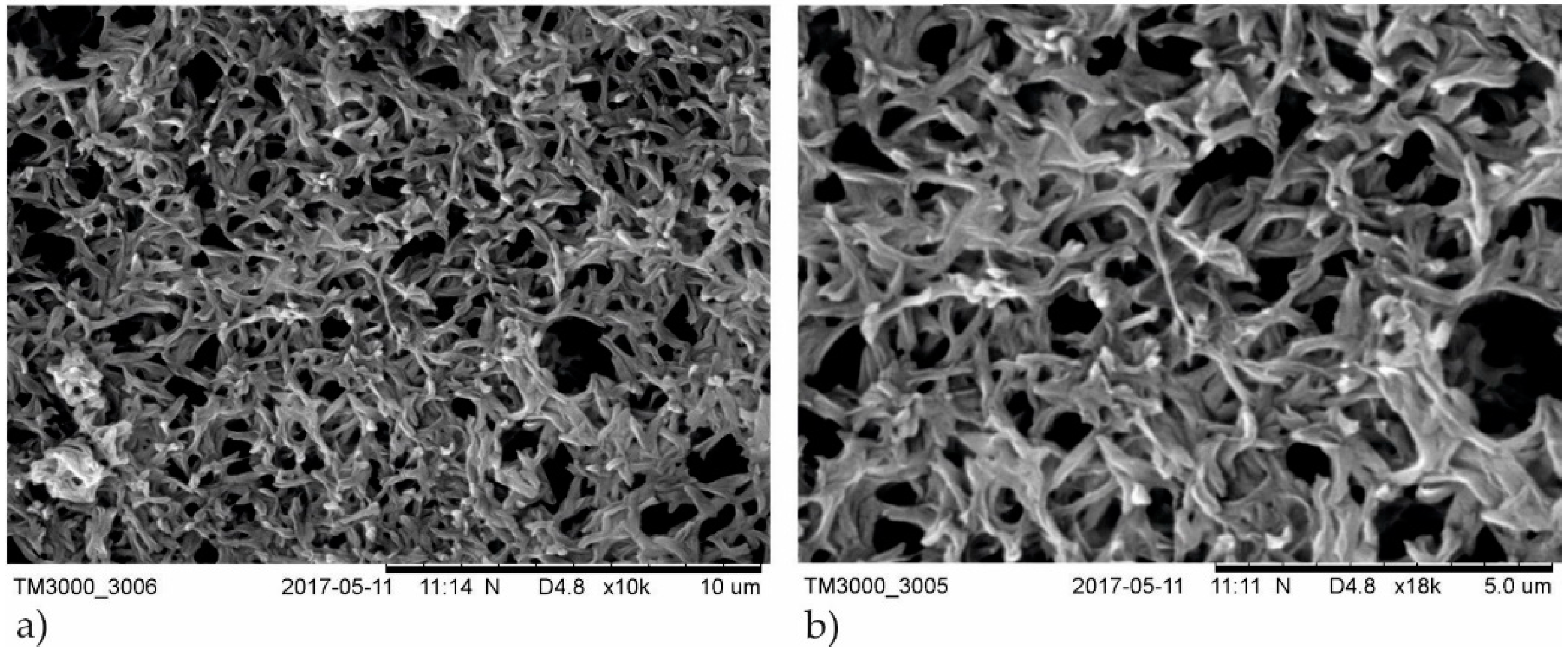 Polymers 13 00141 g003 Polymers 13 00141 g003