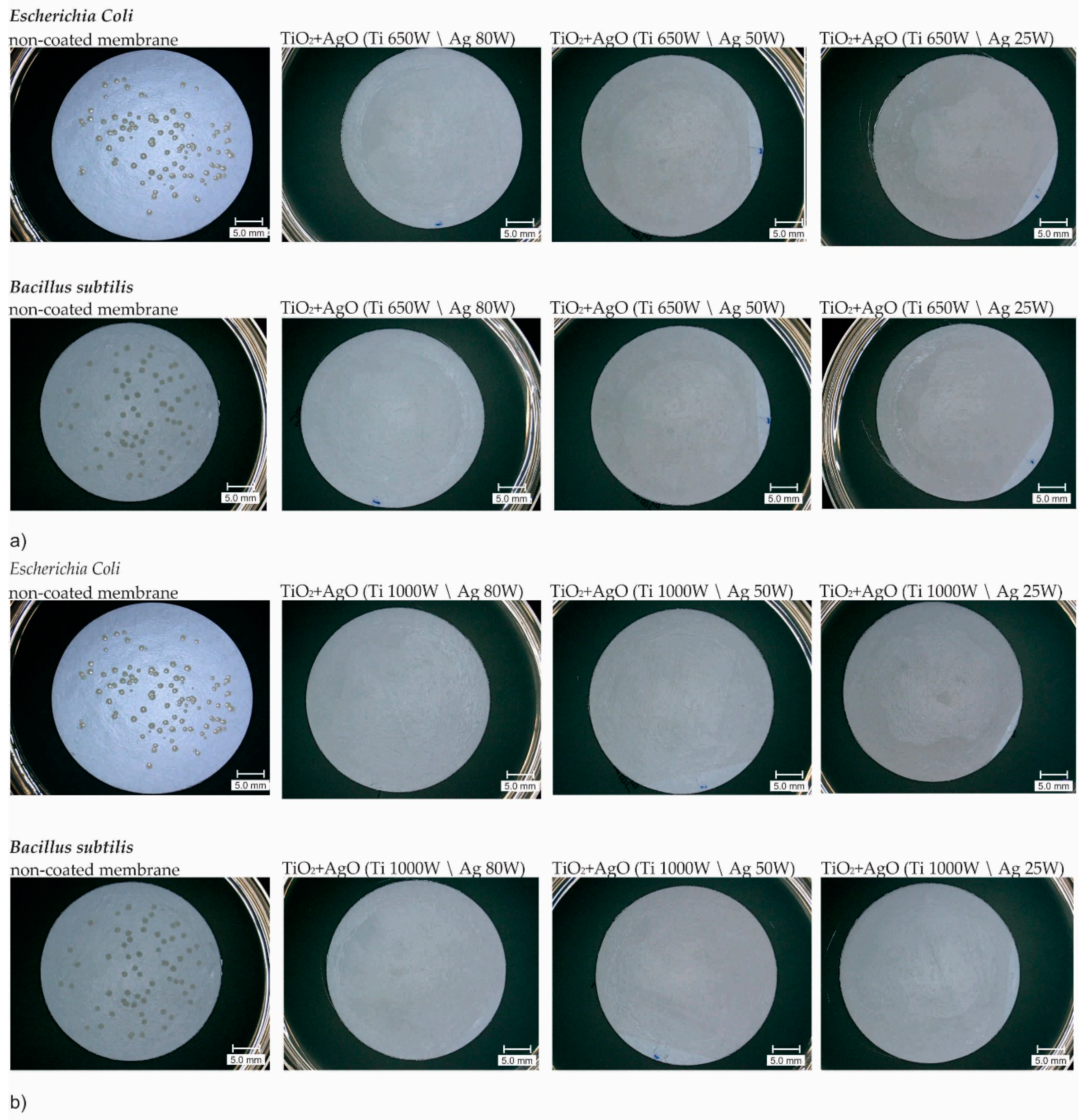 Polymers 13 00141 g005 Polymers 13 00141 g005