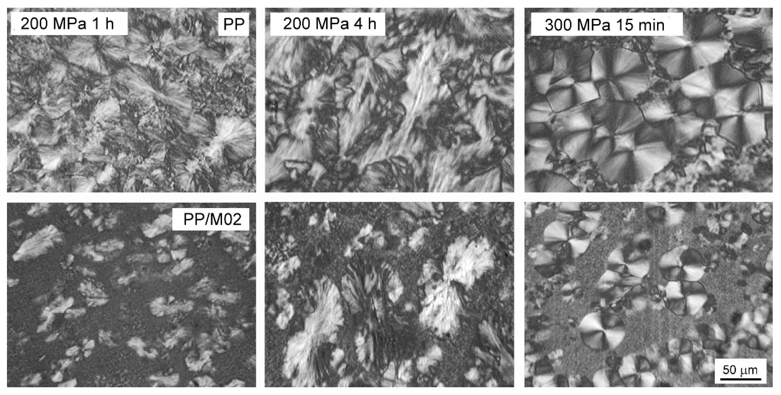 Polymers 13 00145 g008
