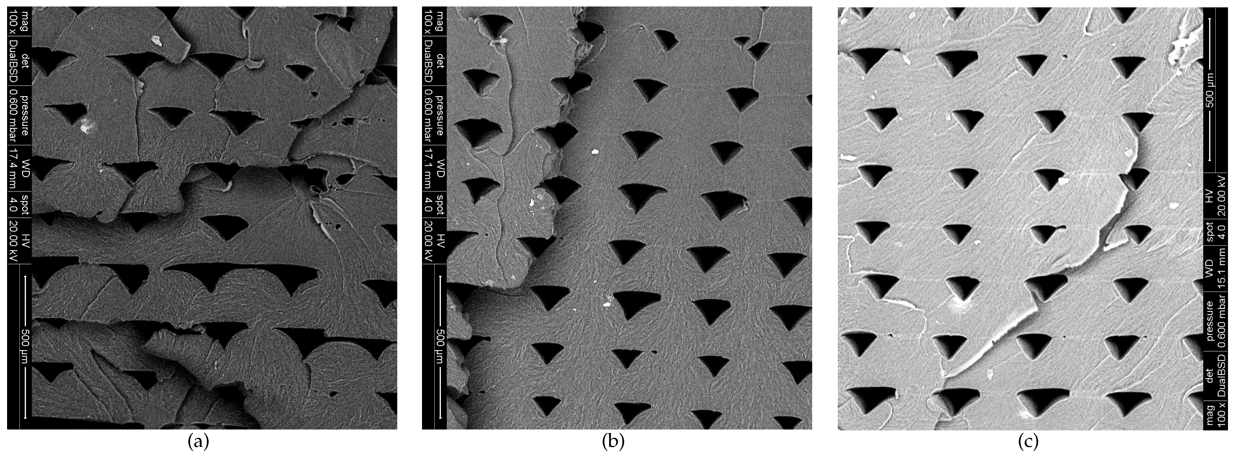 Polymers 13 00149 g007 Polymers 13 00149 g007