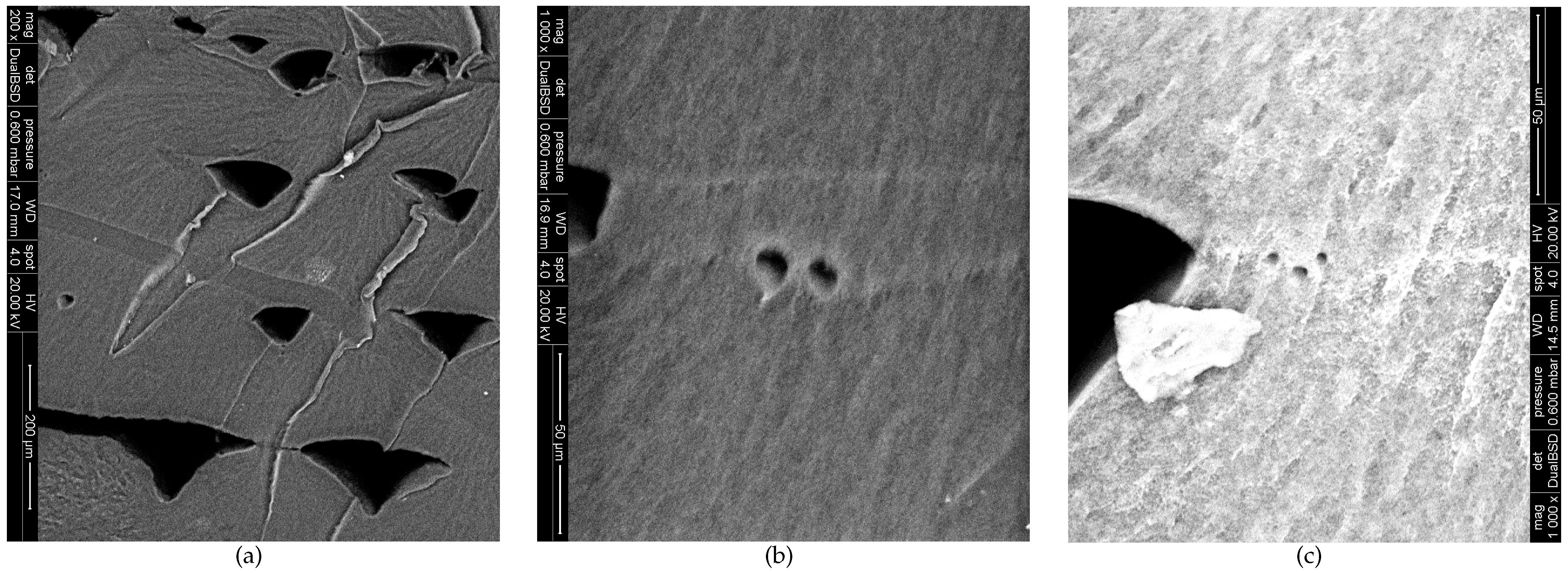 Polymers 13 00149 g008 Polymers 13 00149 g008