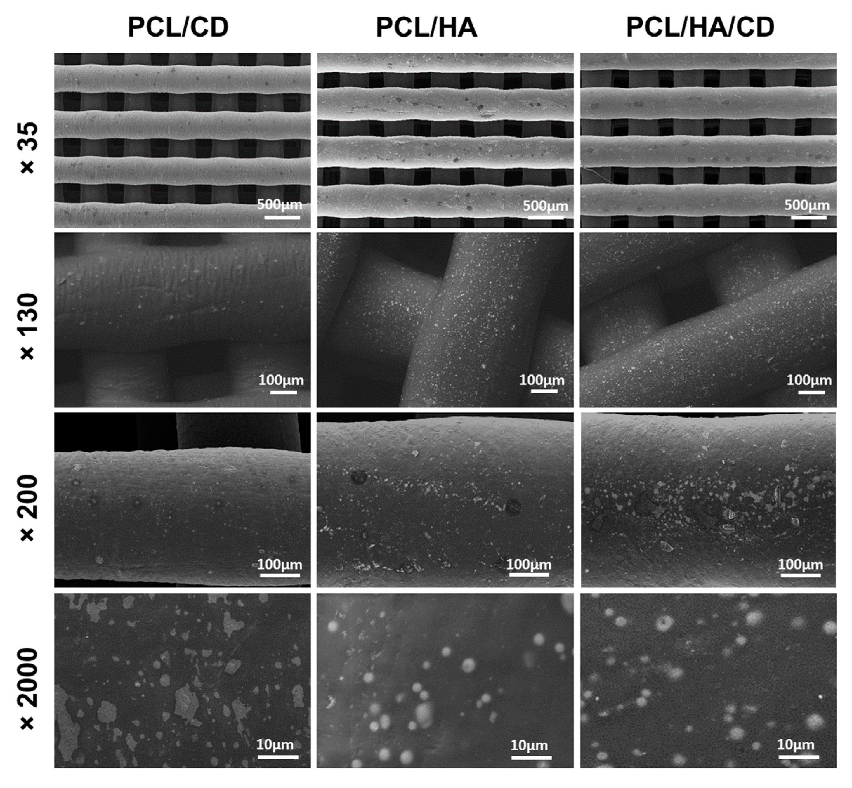 Polymers 13 00150 g004