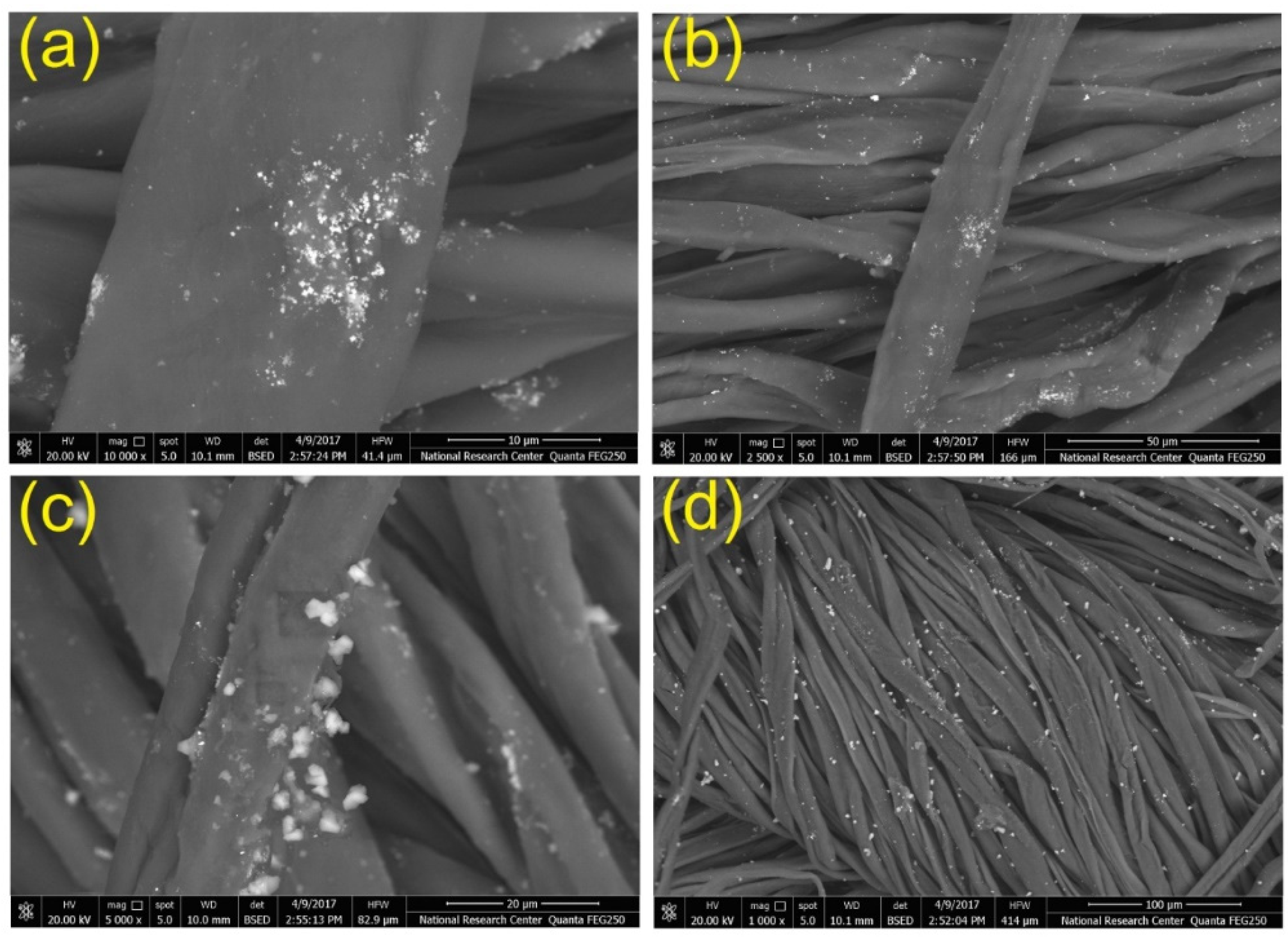 Polymers 13 00155 g012 Polymers 13 00155 g012