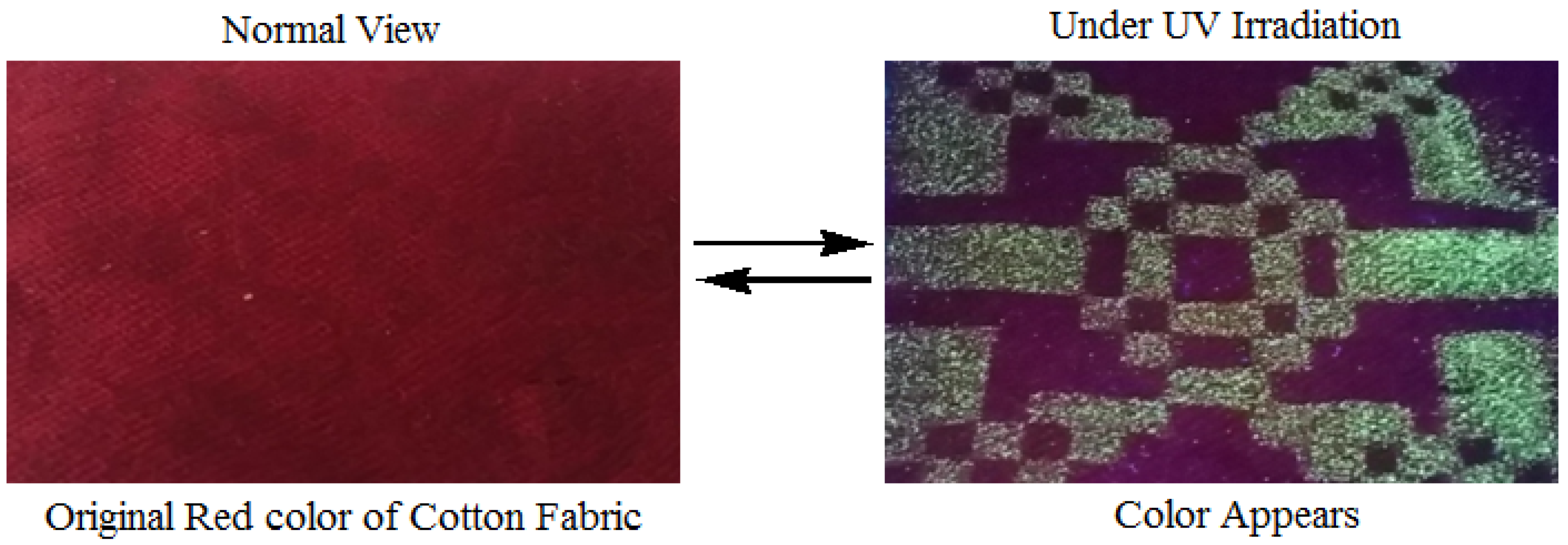 Polymers 13 00155 g014 Polymers 13 00155 g014
