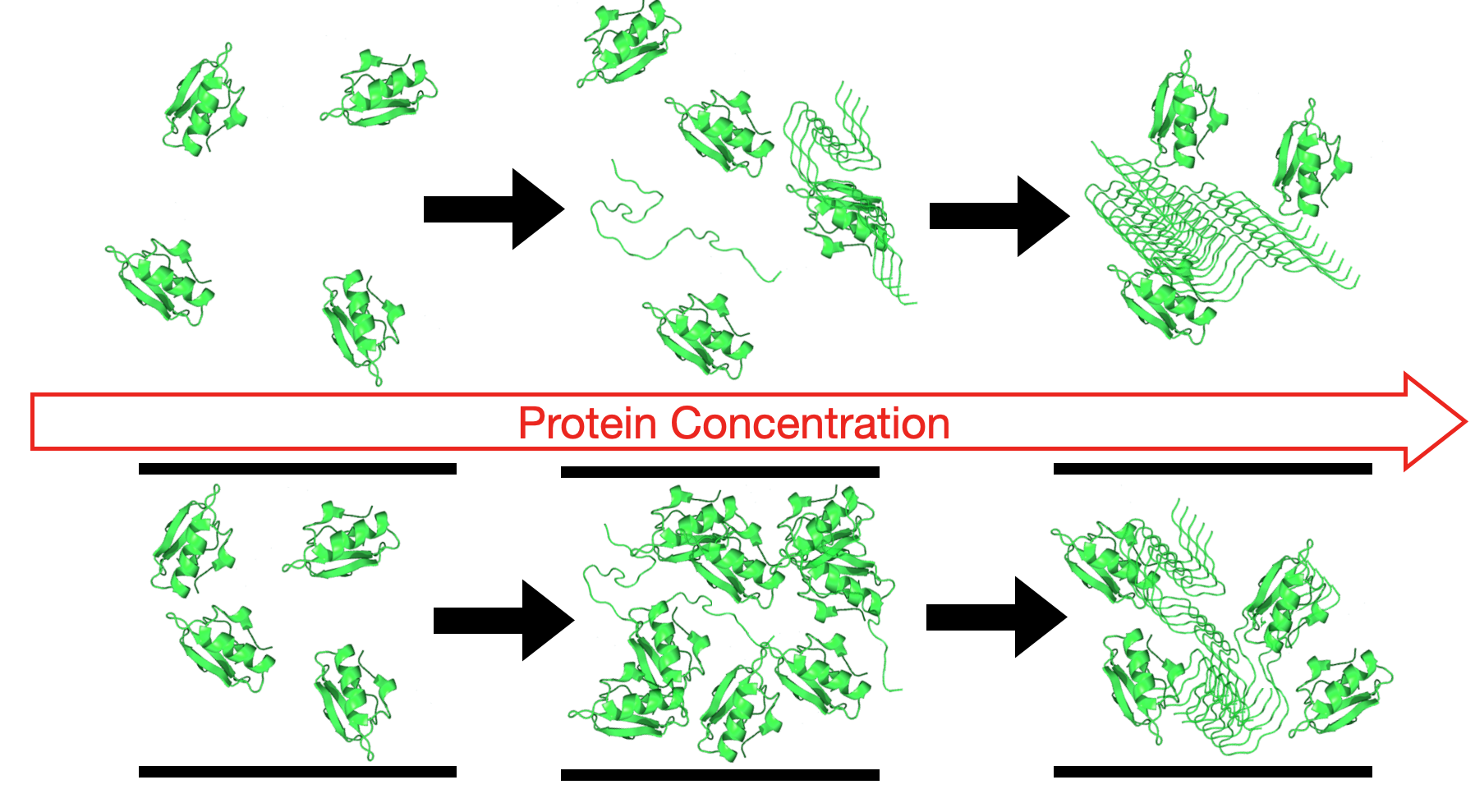 Polymers Free FullText Protein Unfolding and Aggregation near a