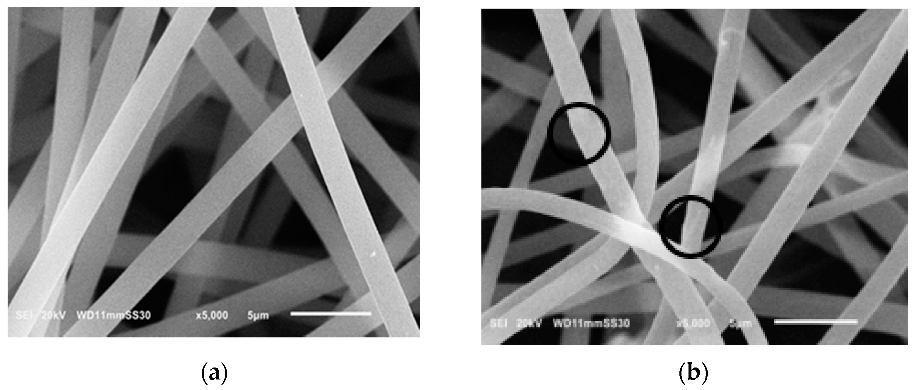 Polymers 13 00160 g001 Polymers 13 00160 g001