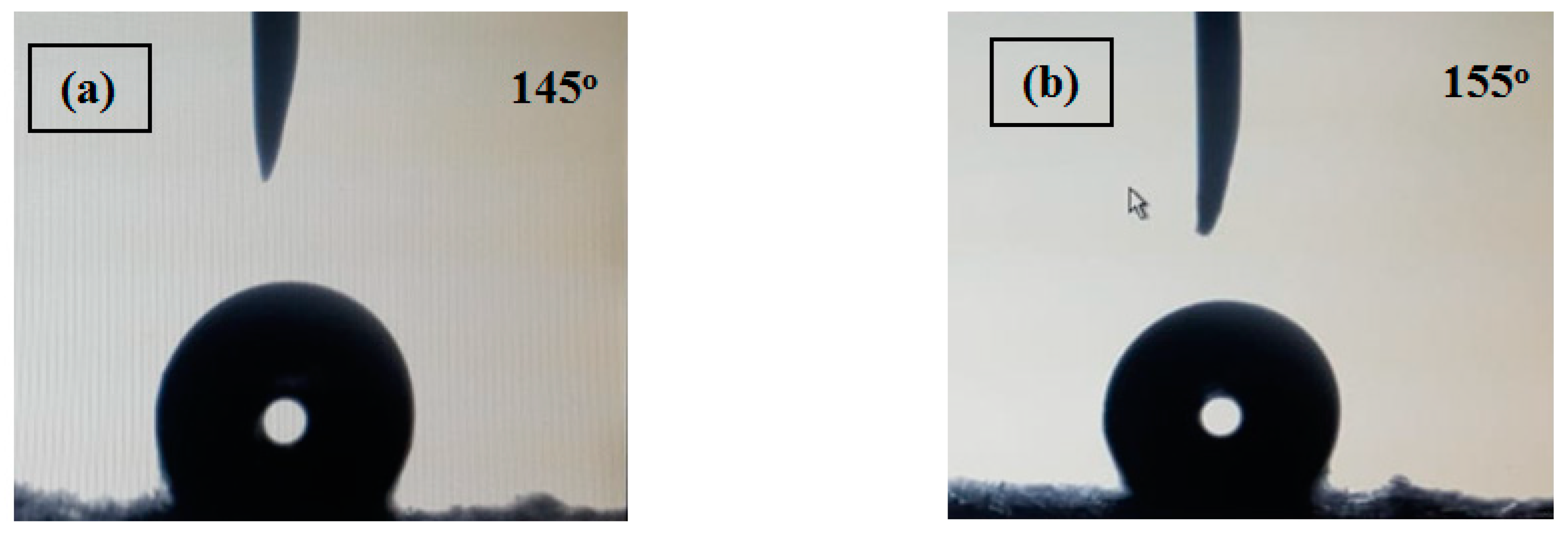 Polymers 13 00160 g002 Polymers 13 00160 g002