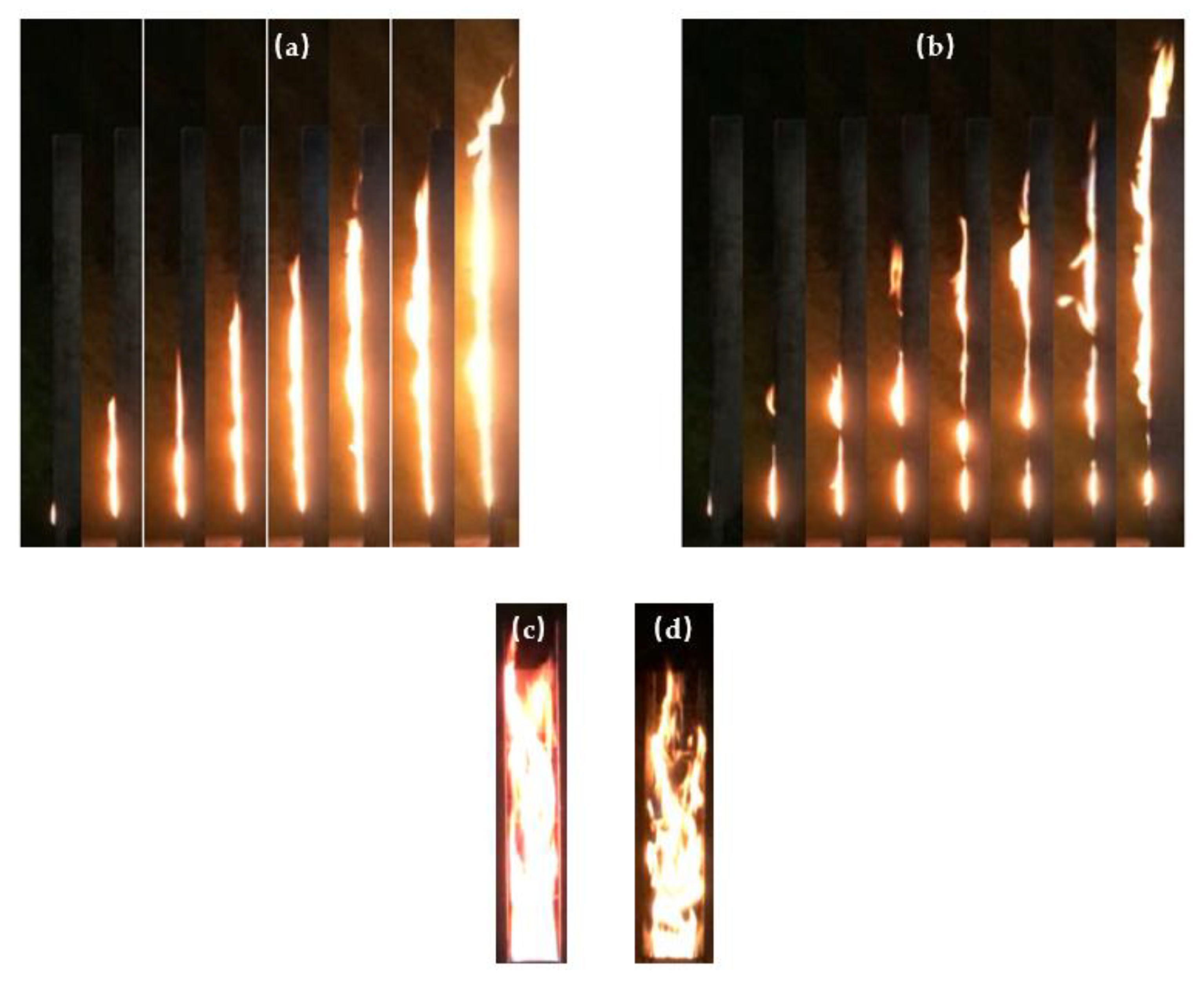 Polymers 13 00167 g004
