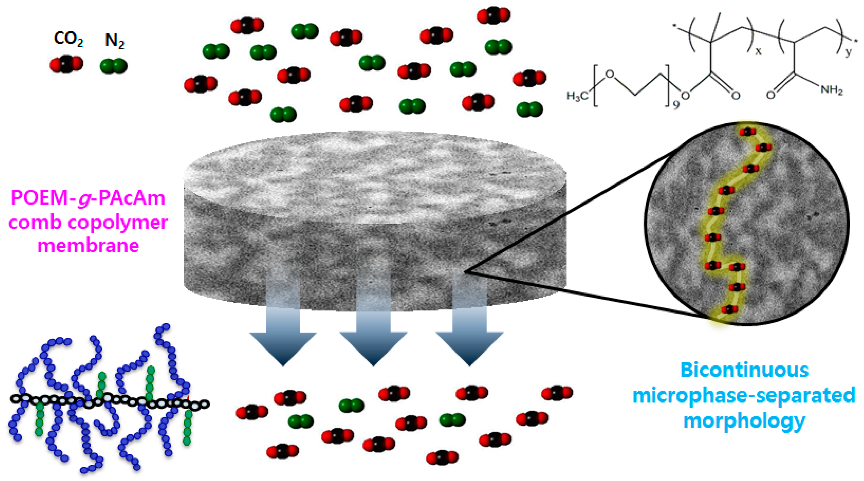 Polymers 13 00177 g007 Polymers 13 00177 g007