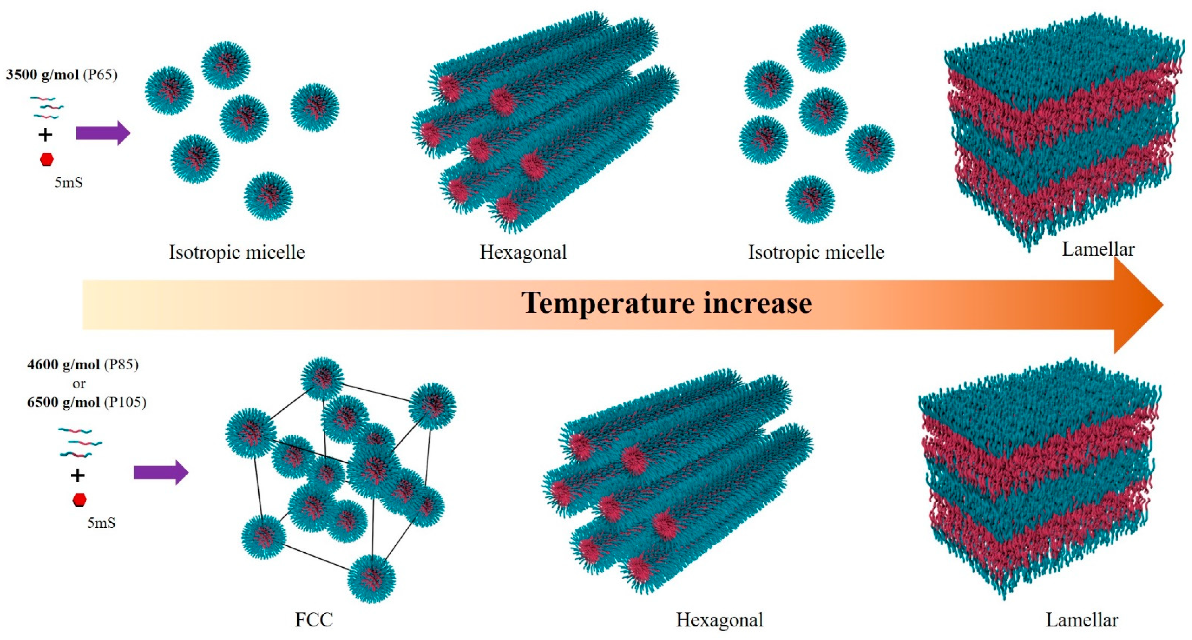 Polymers 13 00178 g006