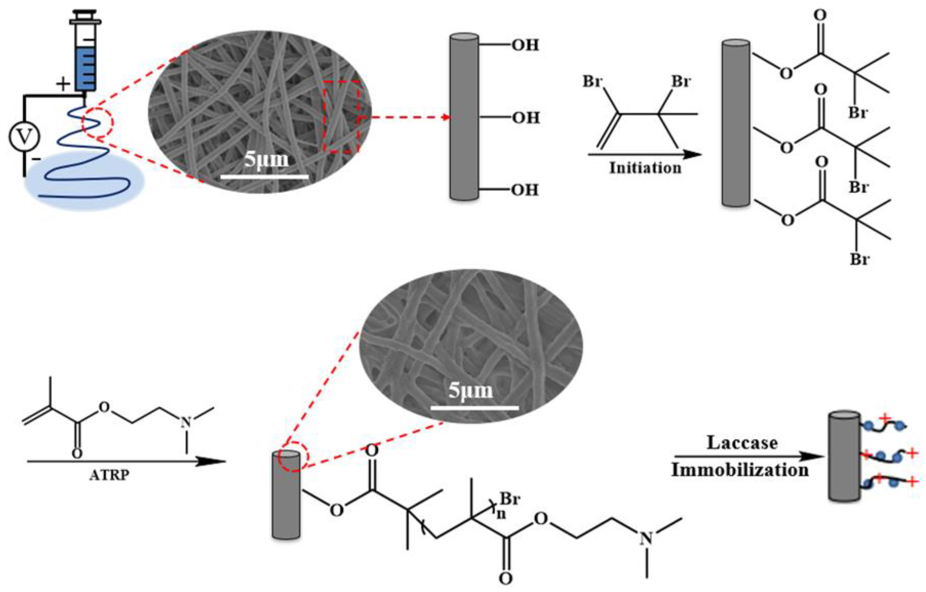 Polymers 13 00182 g001