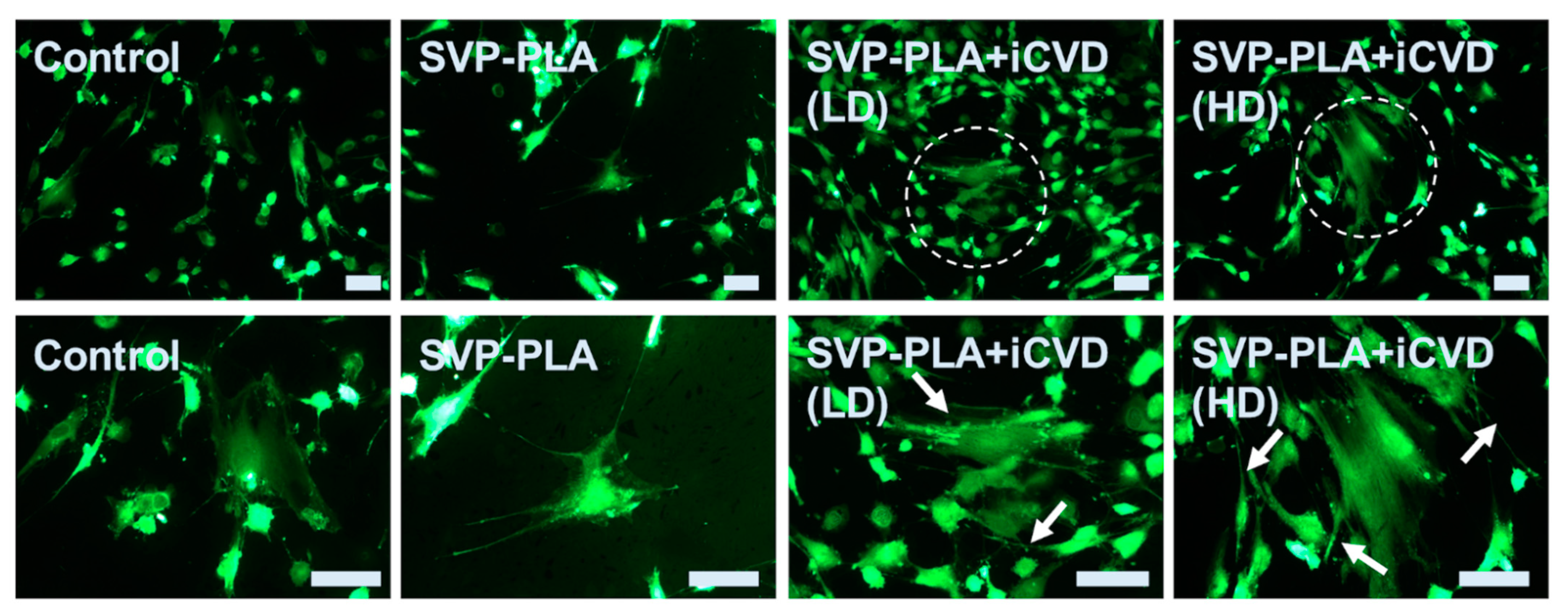 Polymers 13 00186 g006