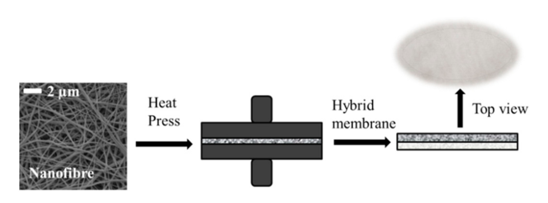 Polymers 13 00197 g001