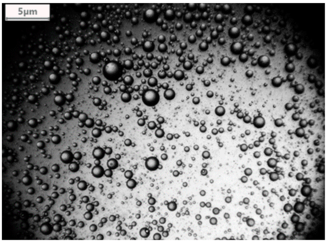 Polymers 13 00197 g005