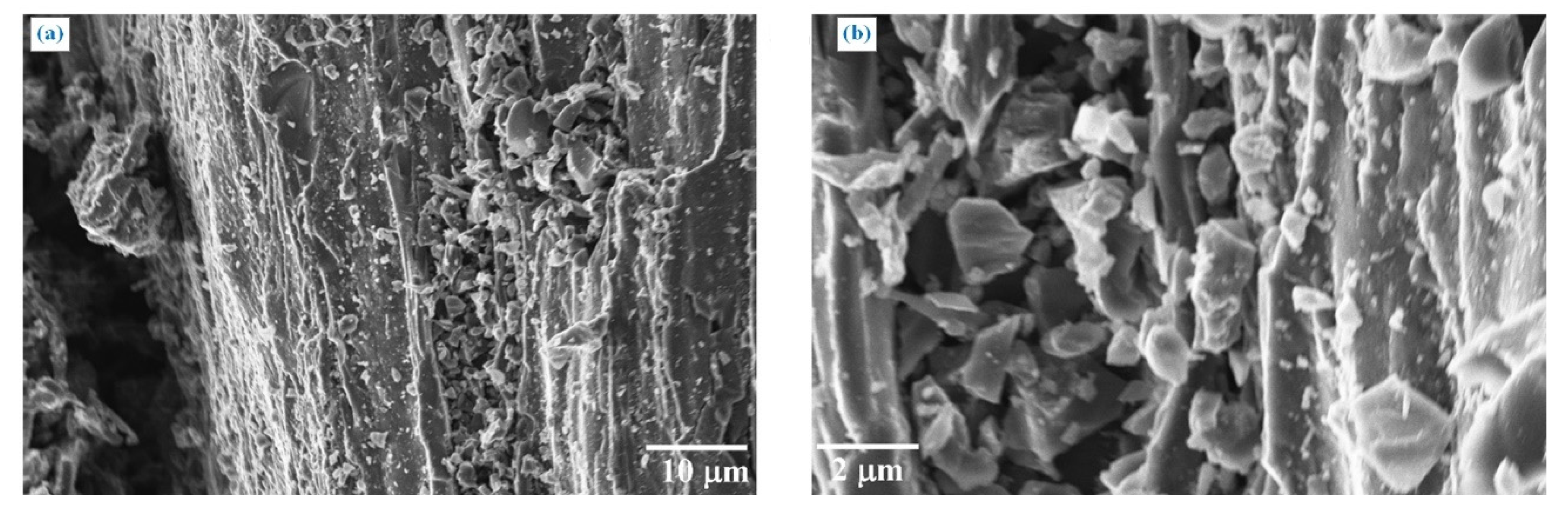 Polymers 13 00198 g003 Polymers 13 00198 g003