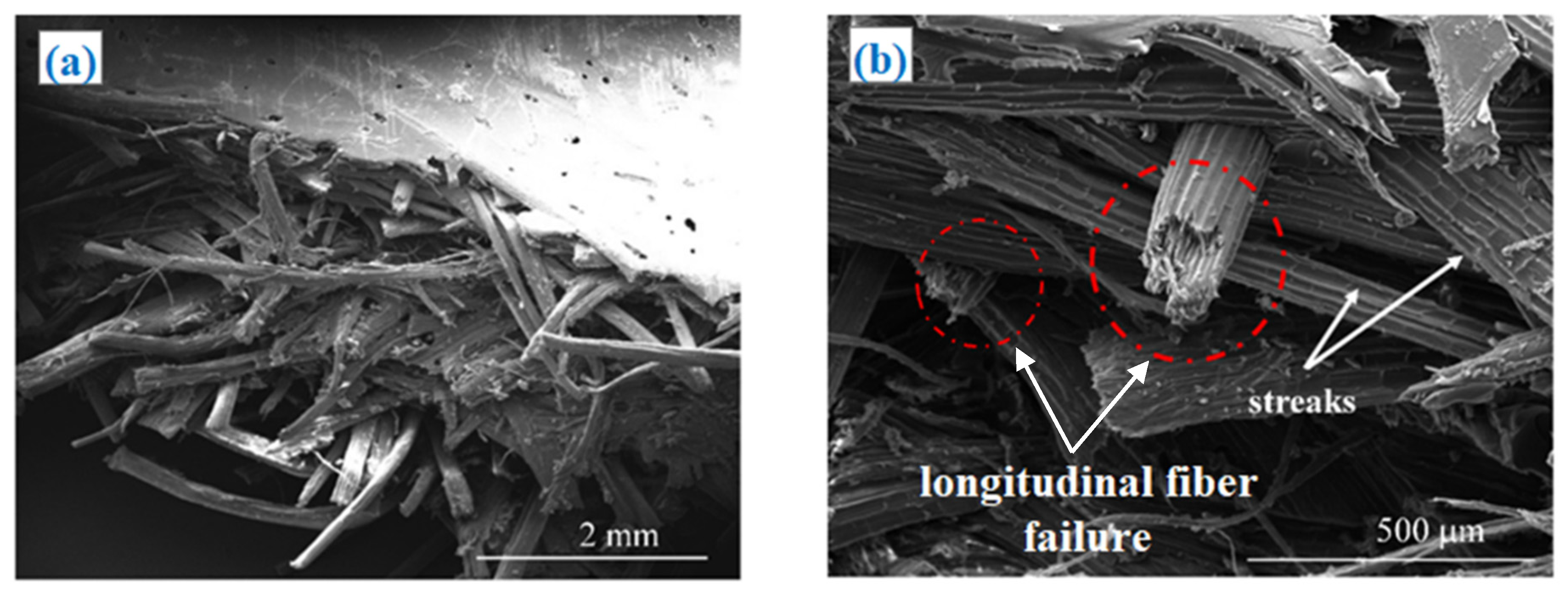 Polymers 13 00198 g007 Polymers 13 00198 g007