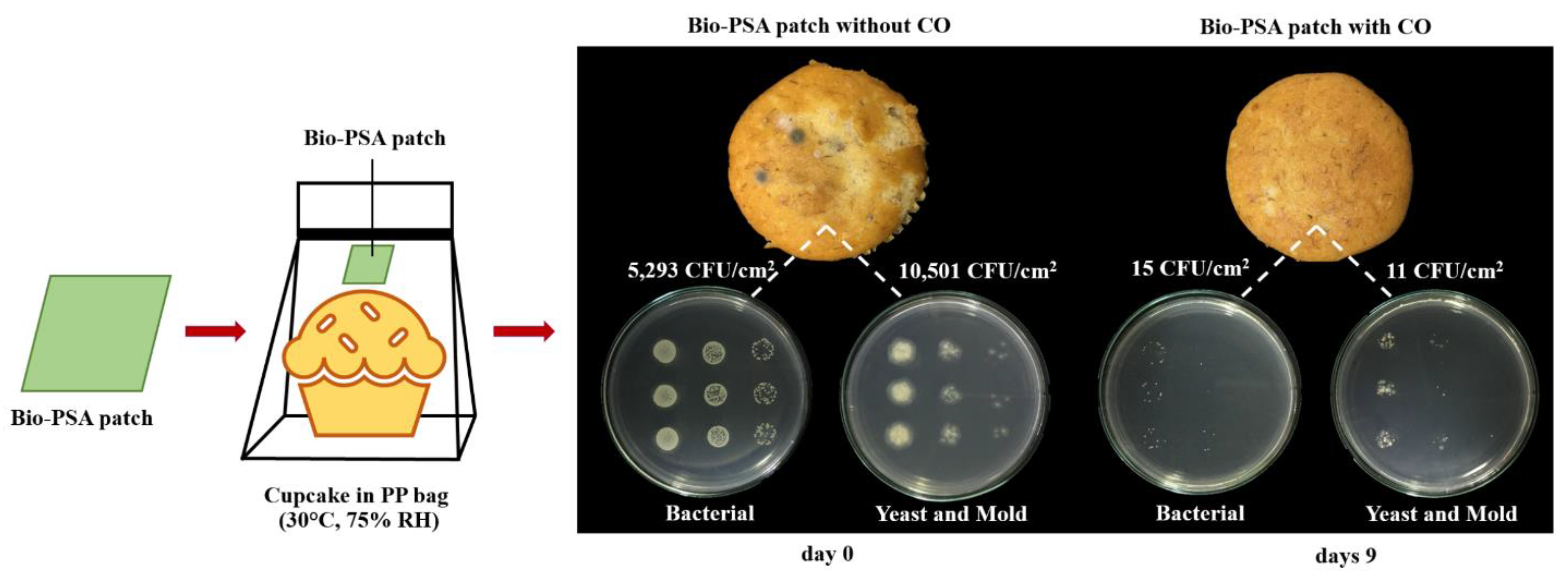 Polymers 13 00199 g001 Polymers 13 00199 g001
