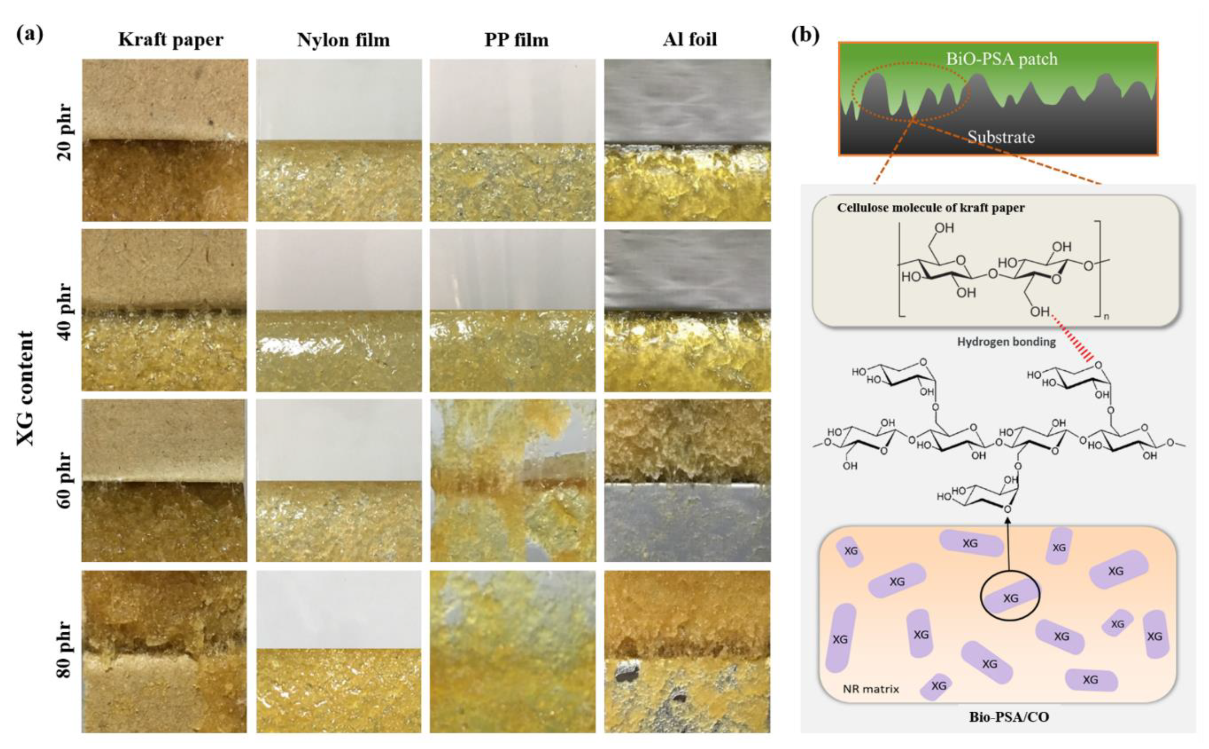 Polymers 13 00199 g006 Polymers 13 00199 g006