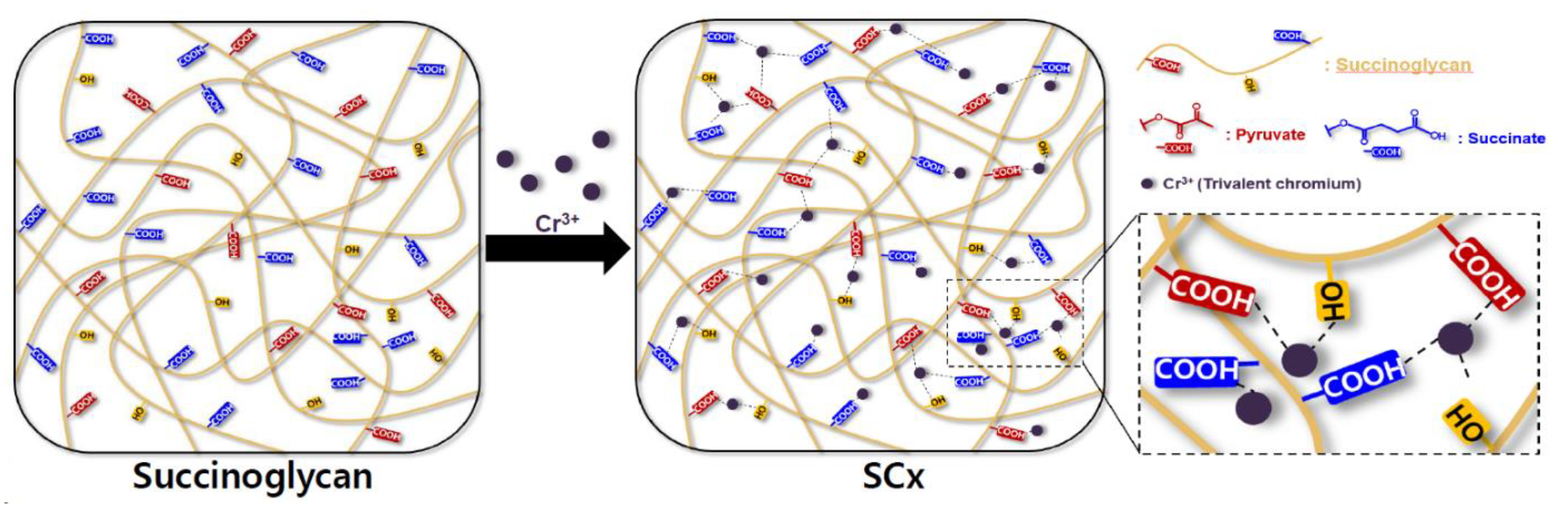 Polymers 13 00202 g004 Polymers 13 00202 g004