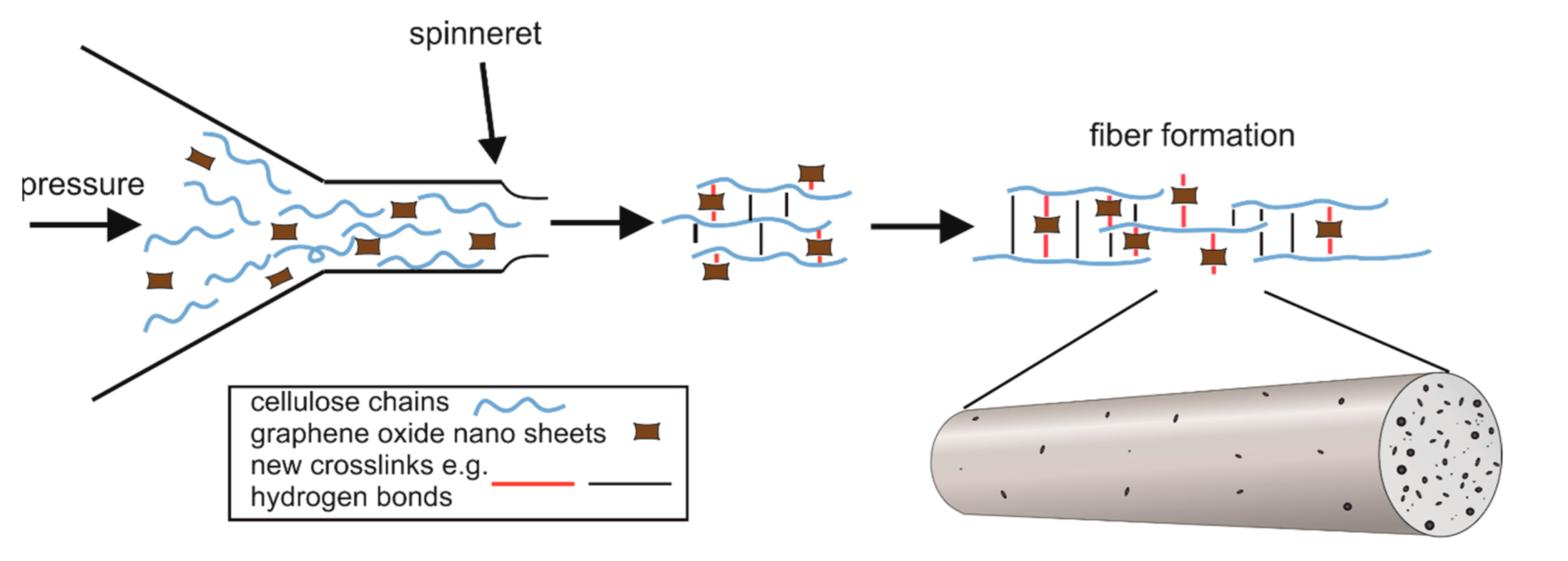 Polymers 13 00204 g001