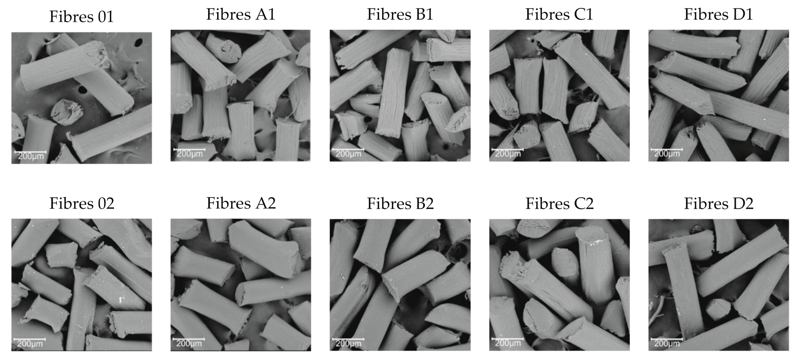 Polymers 13 00204 g004