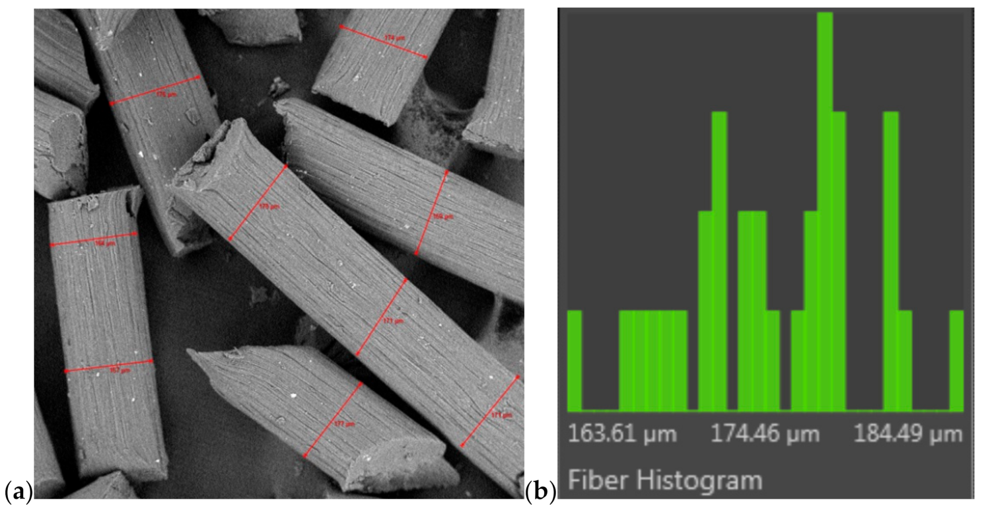 Polymers 13 00204 g005