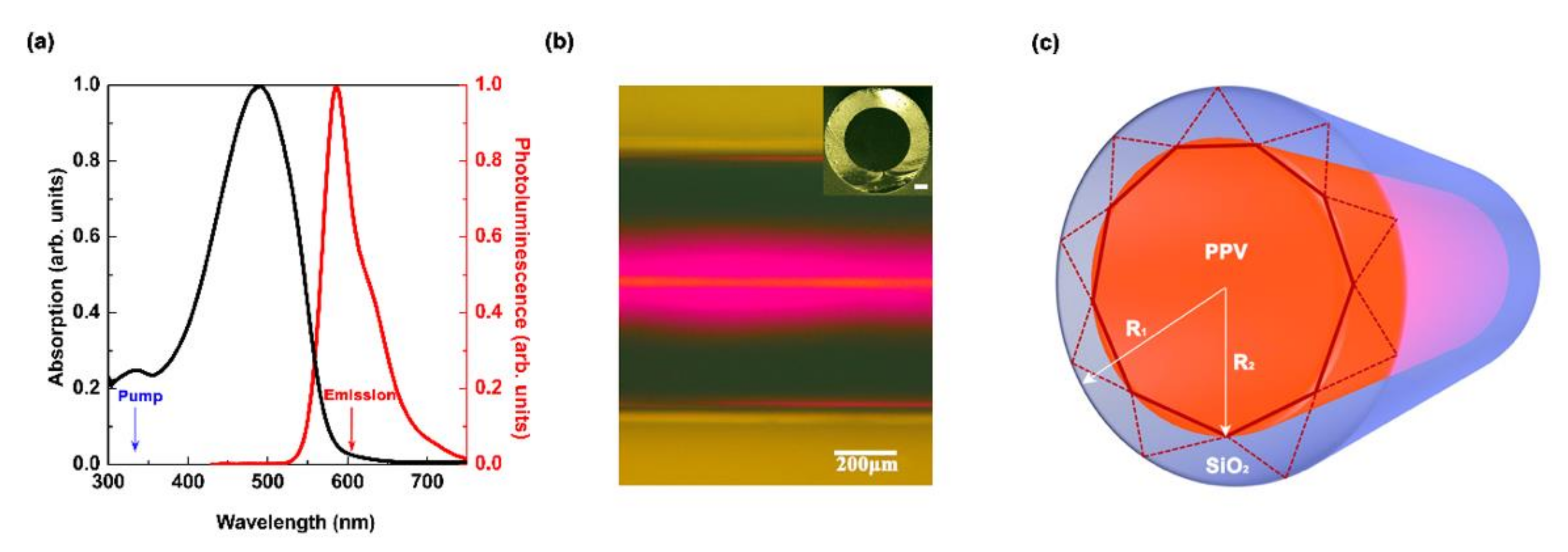 Polymers 13 00205 g001 Polymers 13 00205 g001