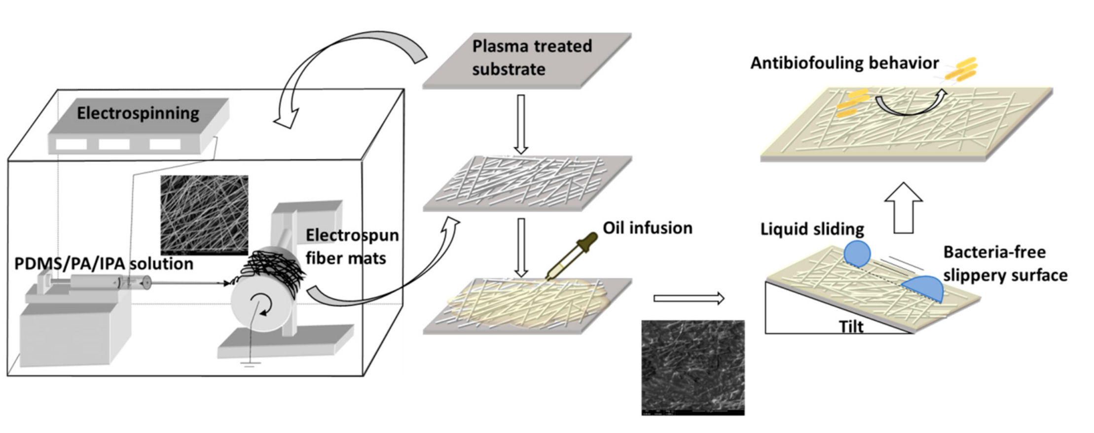 Polymers 13 00206 g001