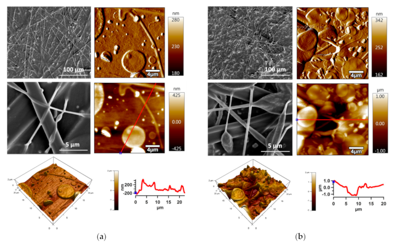 Polymers 13 00206 g008
