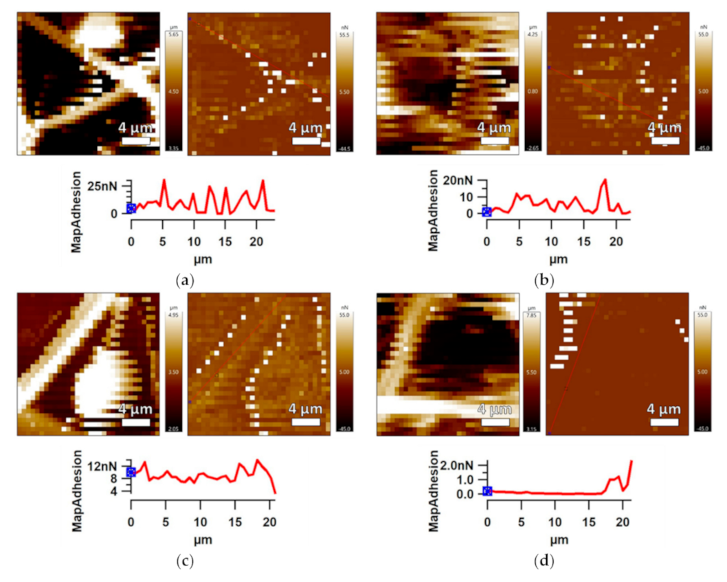 Polymers 13 00206 g009