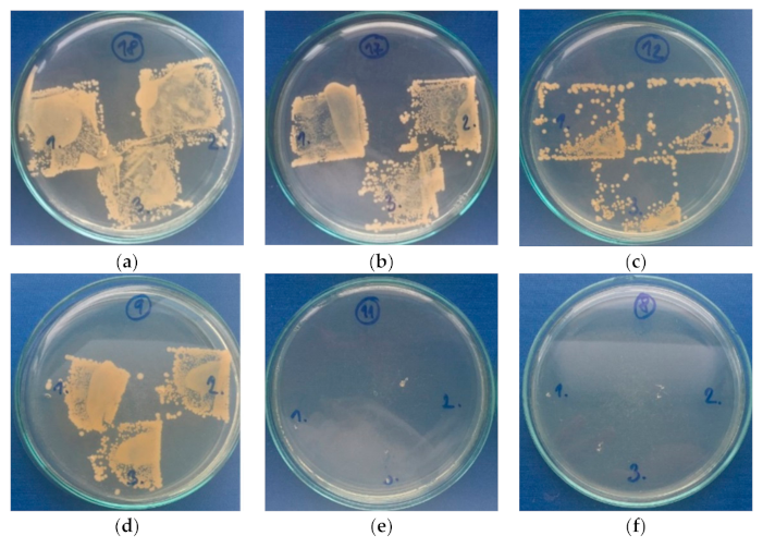 Polymers 13 00206 g010