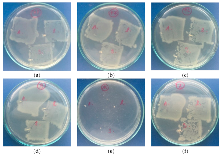 Polymers 13 00206 g011