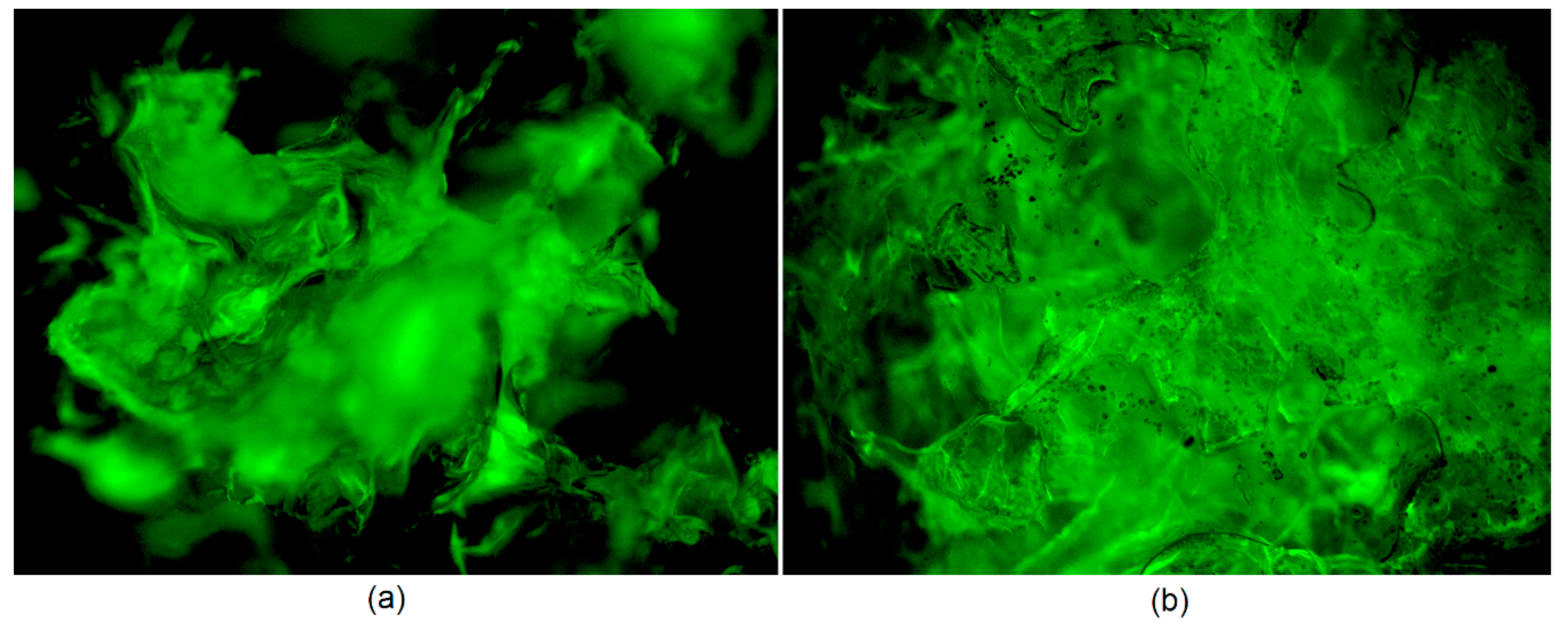 Polymers 13 00211 g007 Polymers 13 00211 g007