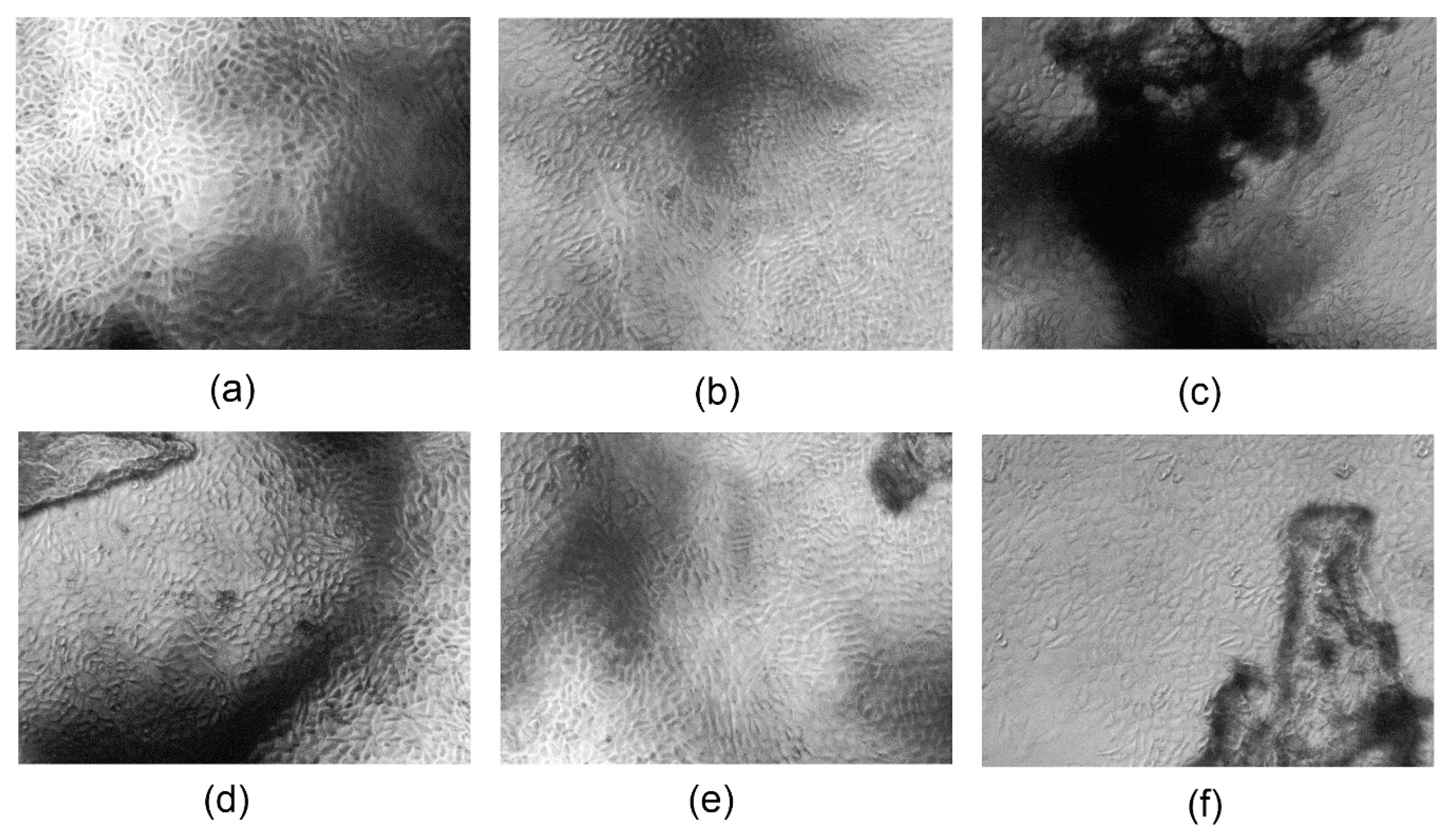 Polymers 13 00211 g014 Polymers 13 00211 g014