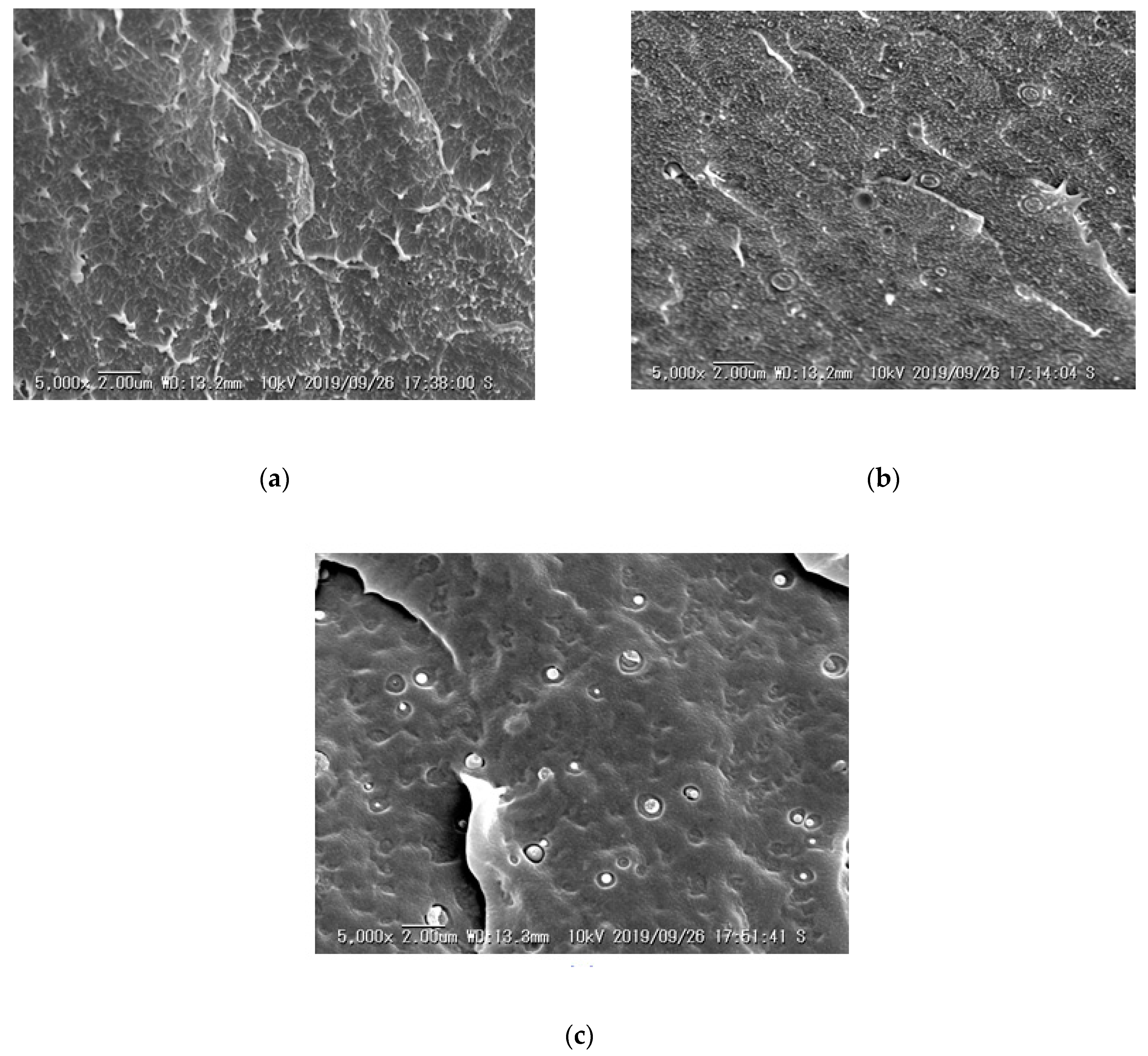 Polymers 13 00219 g005 Polymers 13 00219 g005