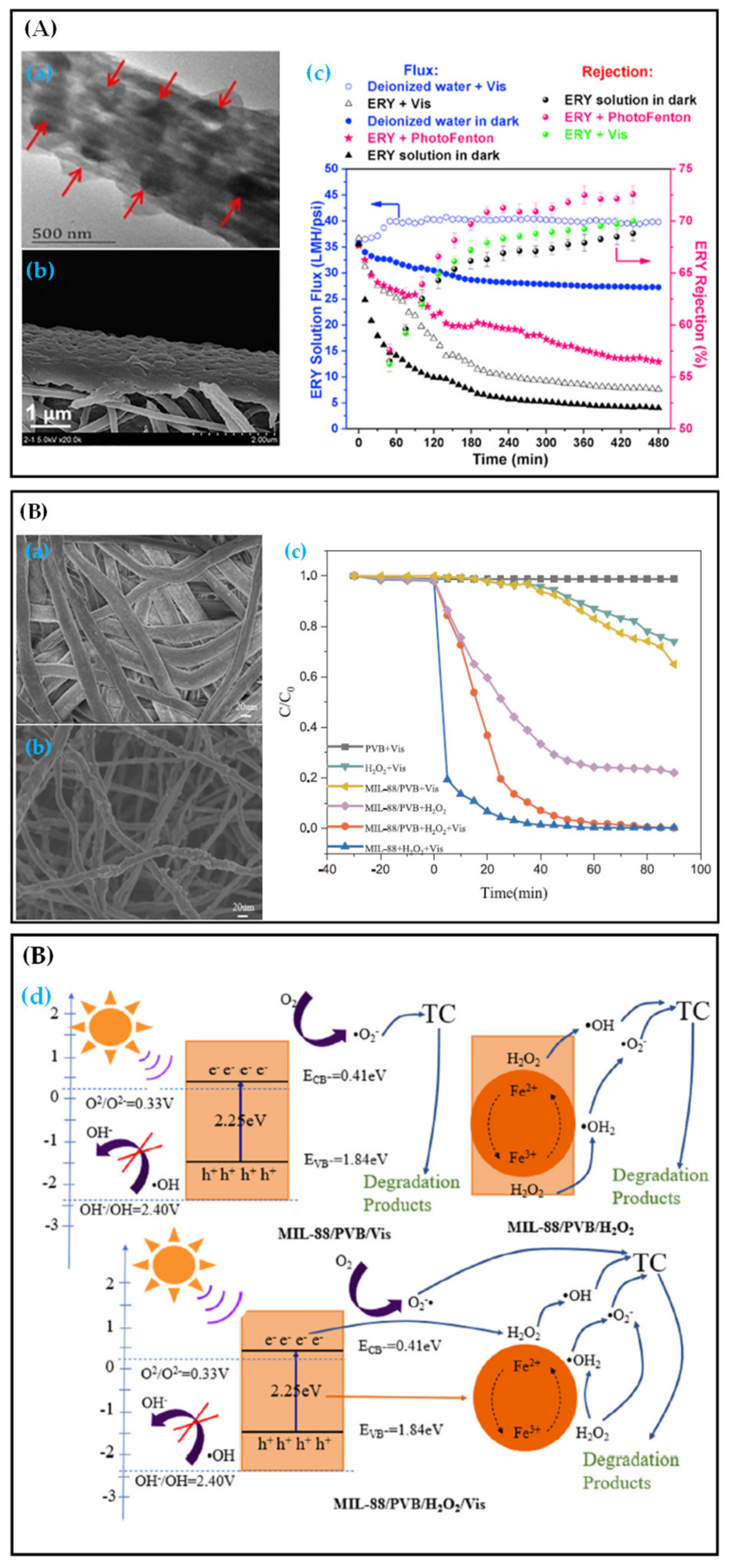 Polymers 13 00226 g011 Polymers 13 00226 g011