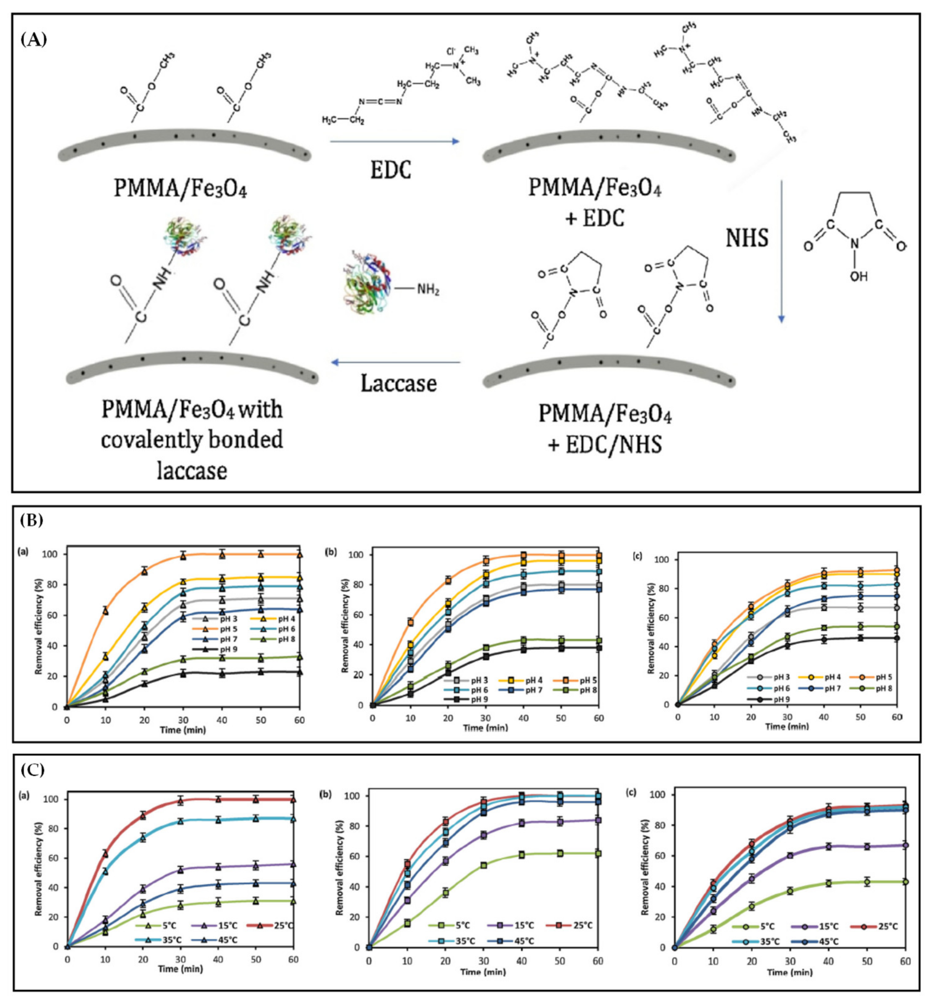 Polymers | Free Full-Text | Electrospun Functional Nanofiber 