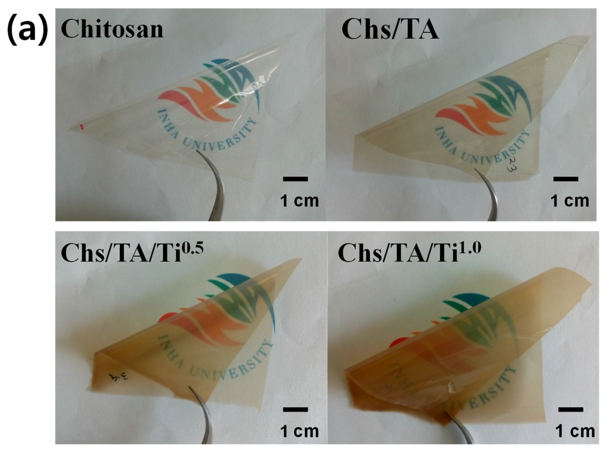 Polymers 13 00228 g002a Polymers 13 00228 g002a