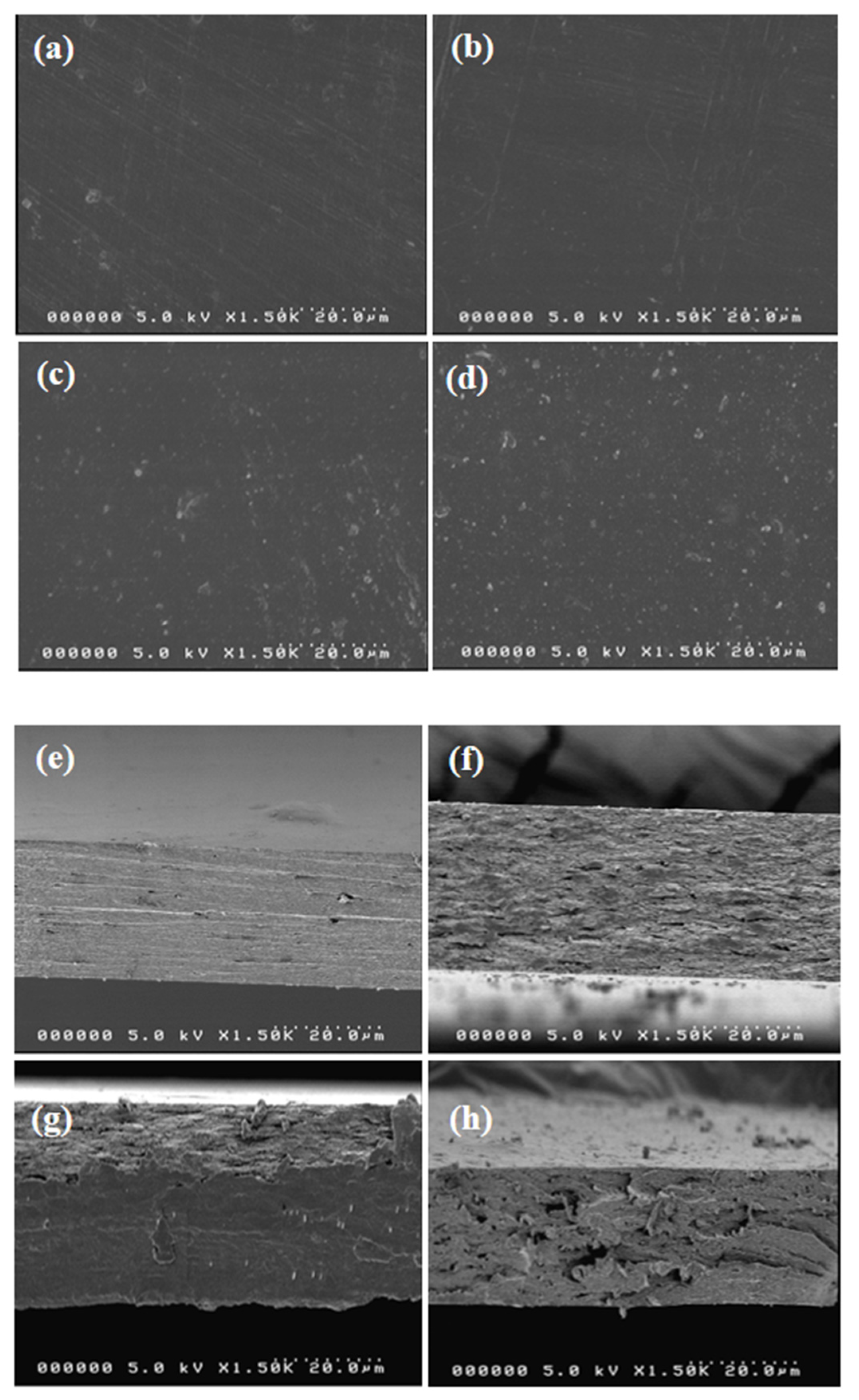 Polymers 13 00228 g004 Polymers 13 00228 g004