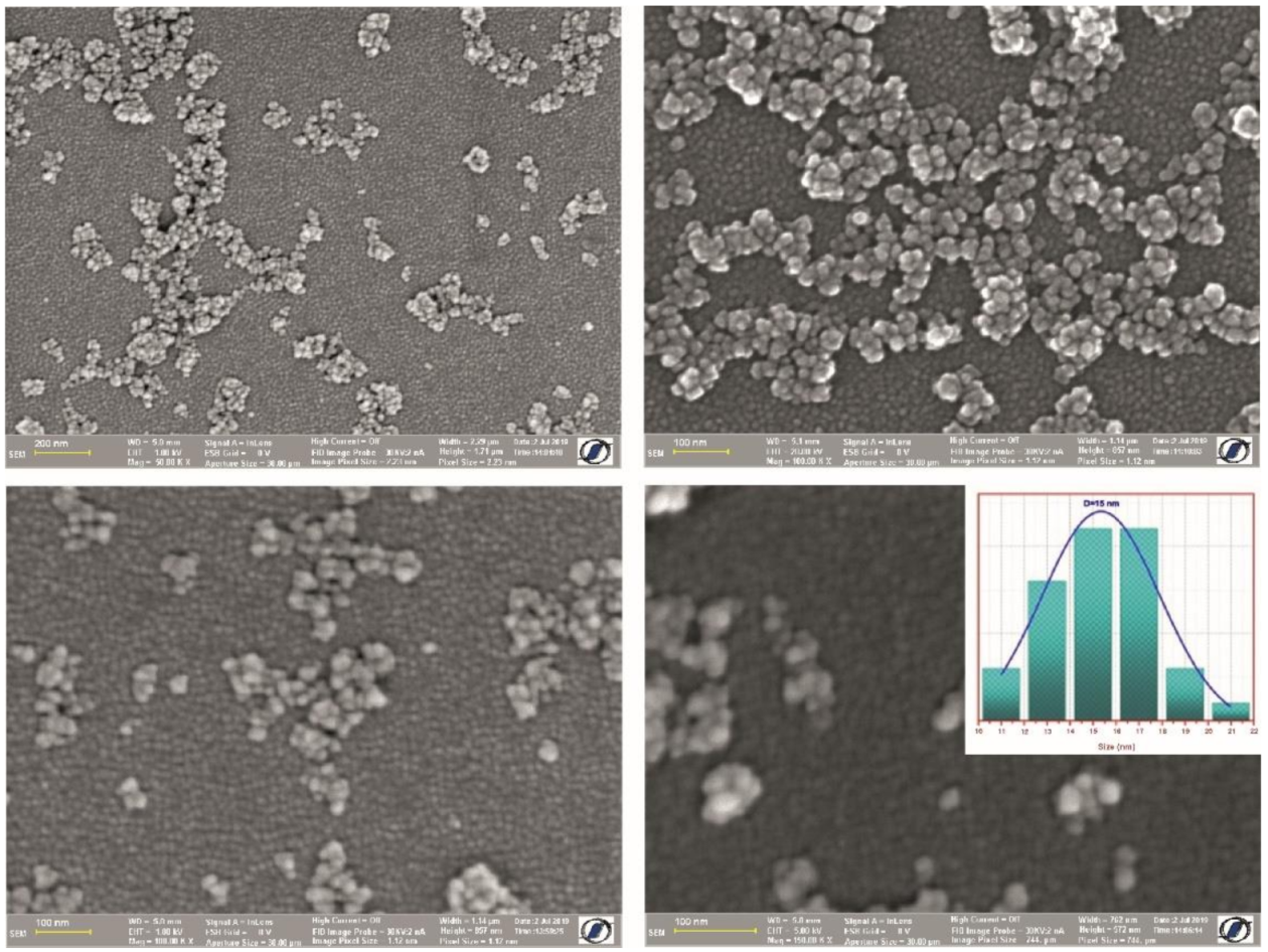 Polymers 13 00229 g002 Polymers 13 00229 g002