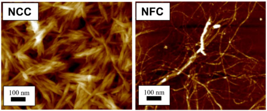 Polymers 13 00231 g001 550