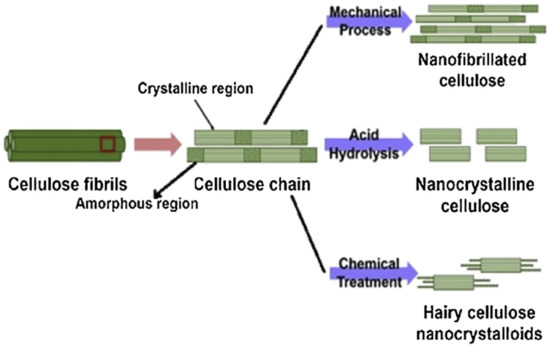 Polymers 13 00231 g002 550