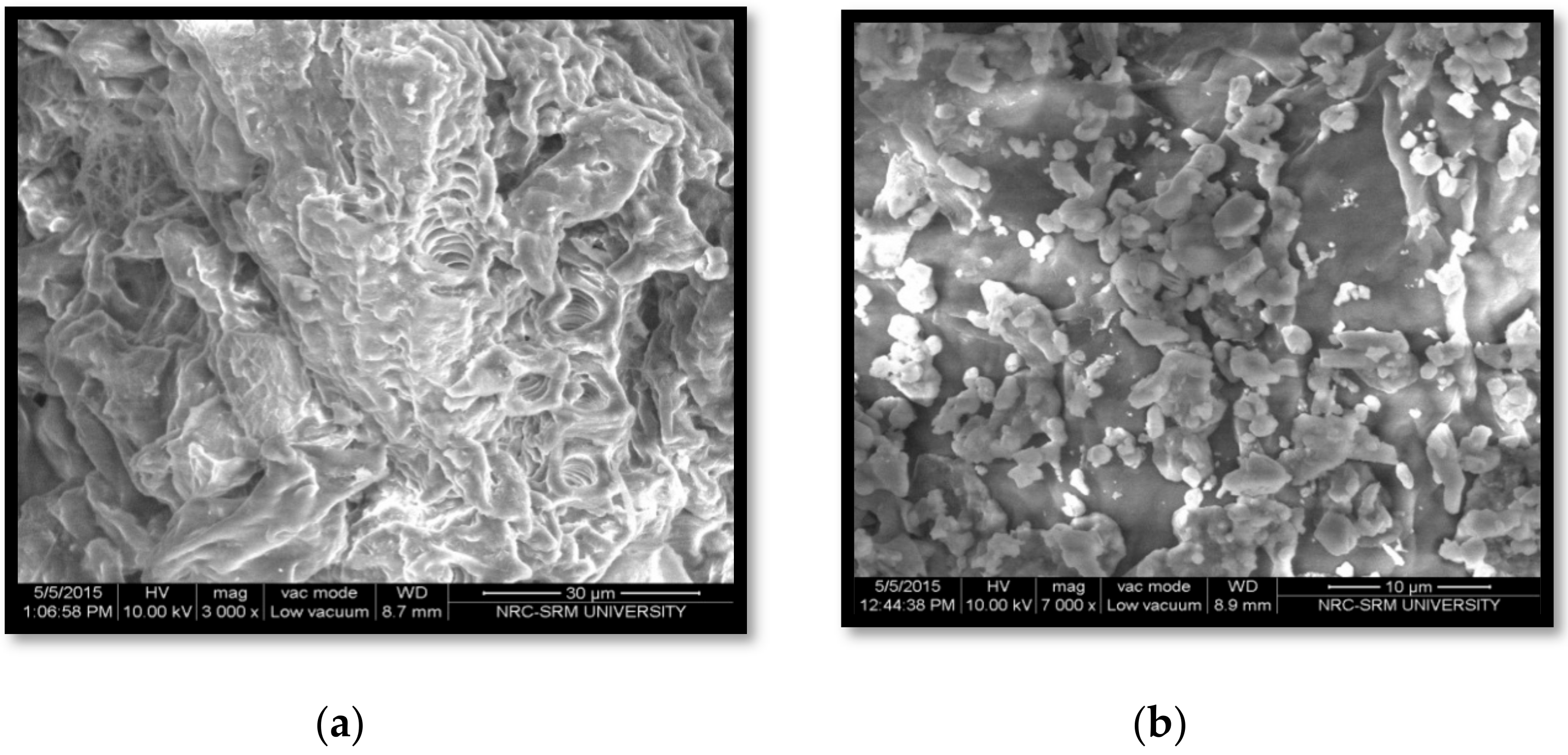Polymers 13 00234 g006 Polymers 13 00234 g006