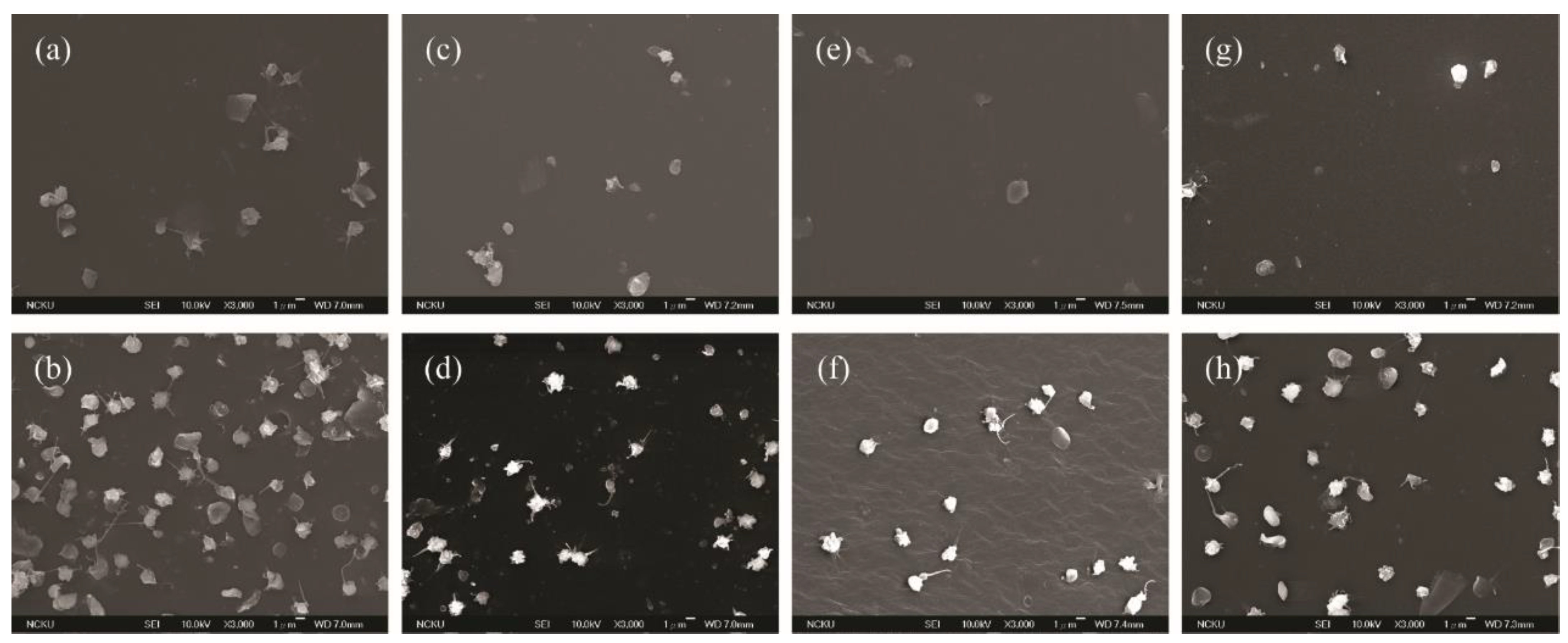 Polymers 13 00235 g007 Polymers 13 00235 g007