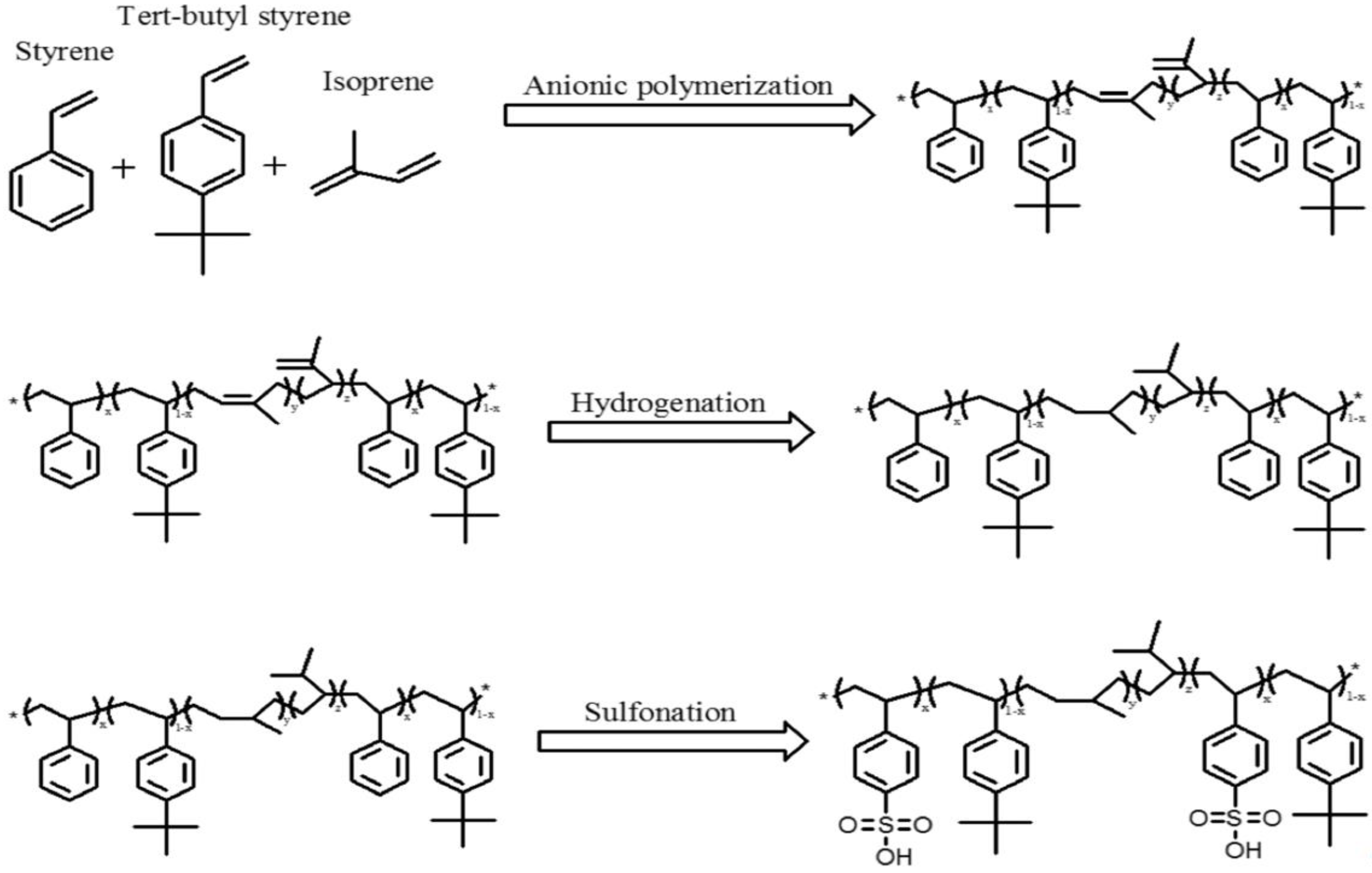 Studies of the Sulfonated Hydrogenated StyreneIsopreneStyrene Block