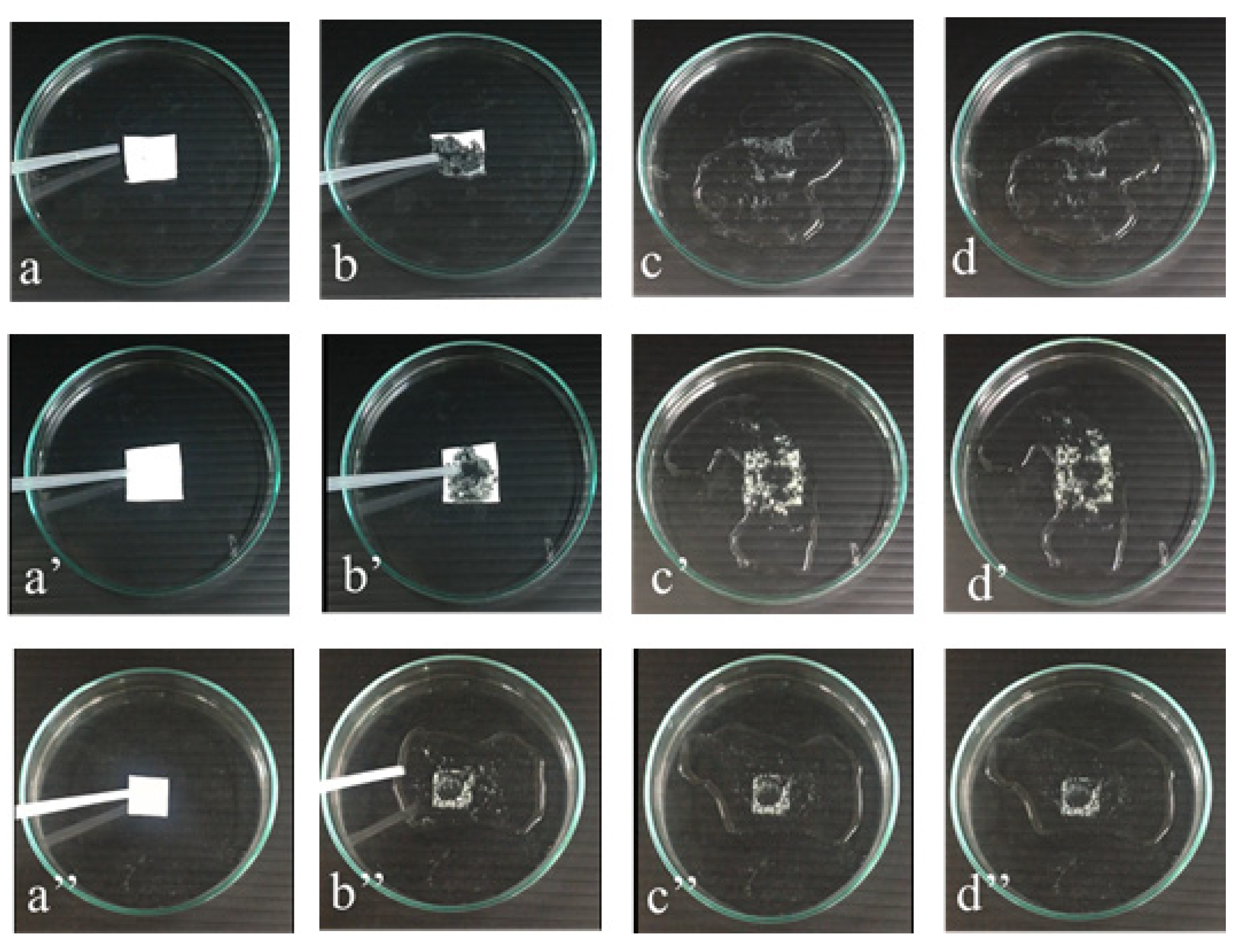 Polymers 13 00241 g008